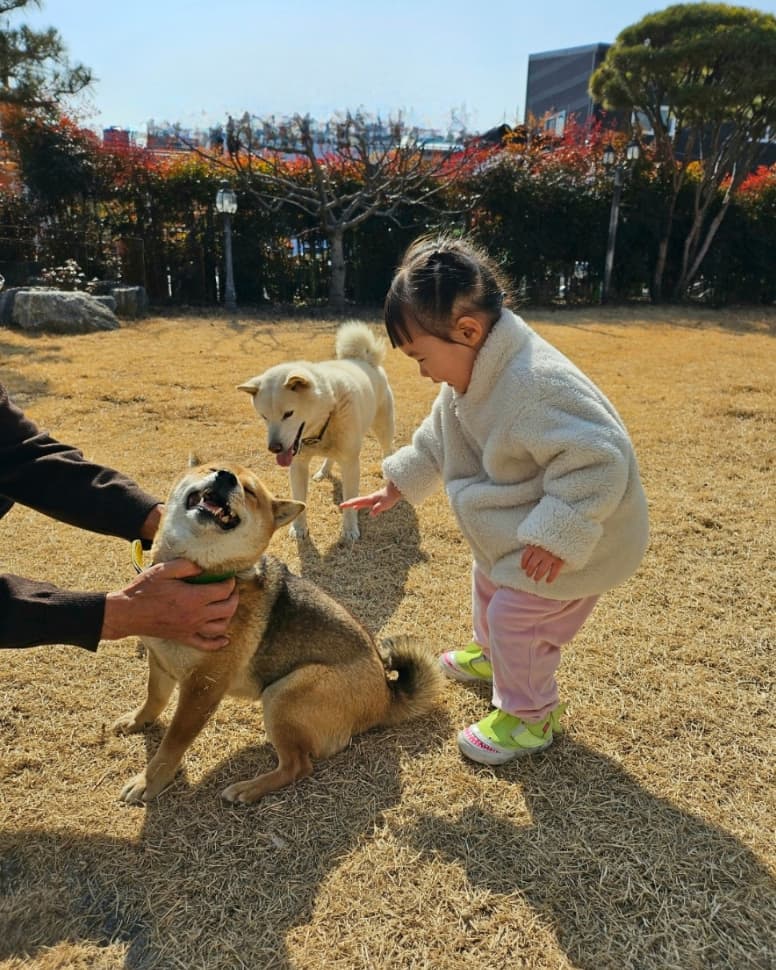 귀염둥이들
할비댁가면 쿤이 여울이 졸졸이
#설연휴끝 #실화냐