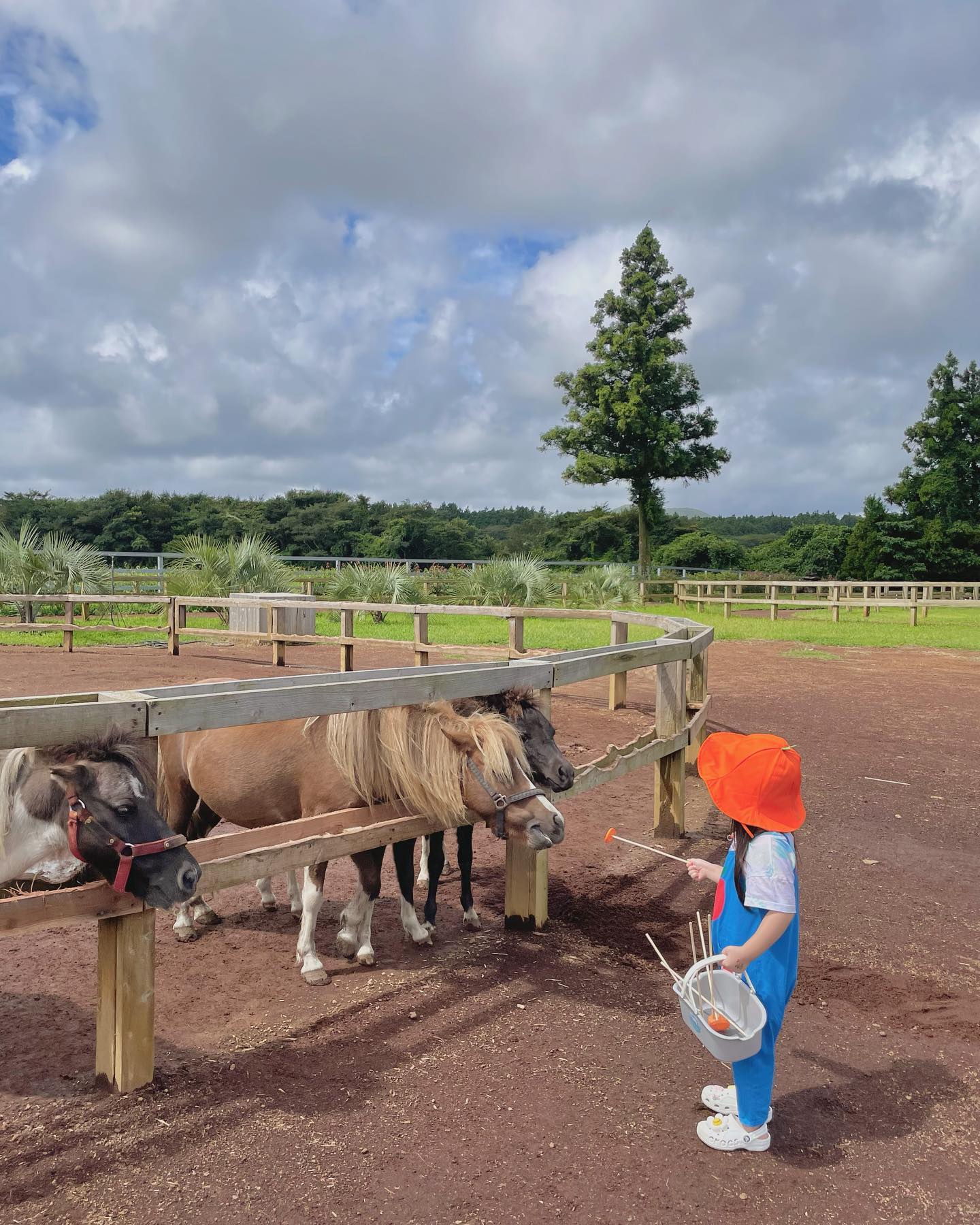 서귀포 목장카페 밭디 🐴
귀여운 말에게 당근을 만원치 주고도 
또 주고싶어서 아수워했던 윤봉이 

태풍이 온다고 
새벽엔 호우주의보 알람이 울리더니 
날씨요정 덕분에 태풍은 가고 
맑고 예쁜 하늘이 좋았던 날 💕