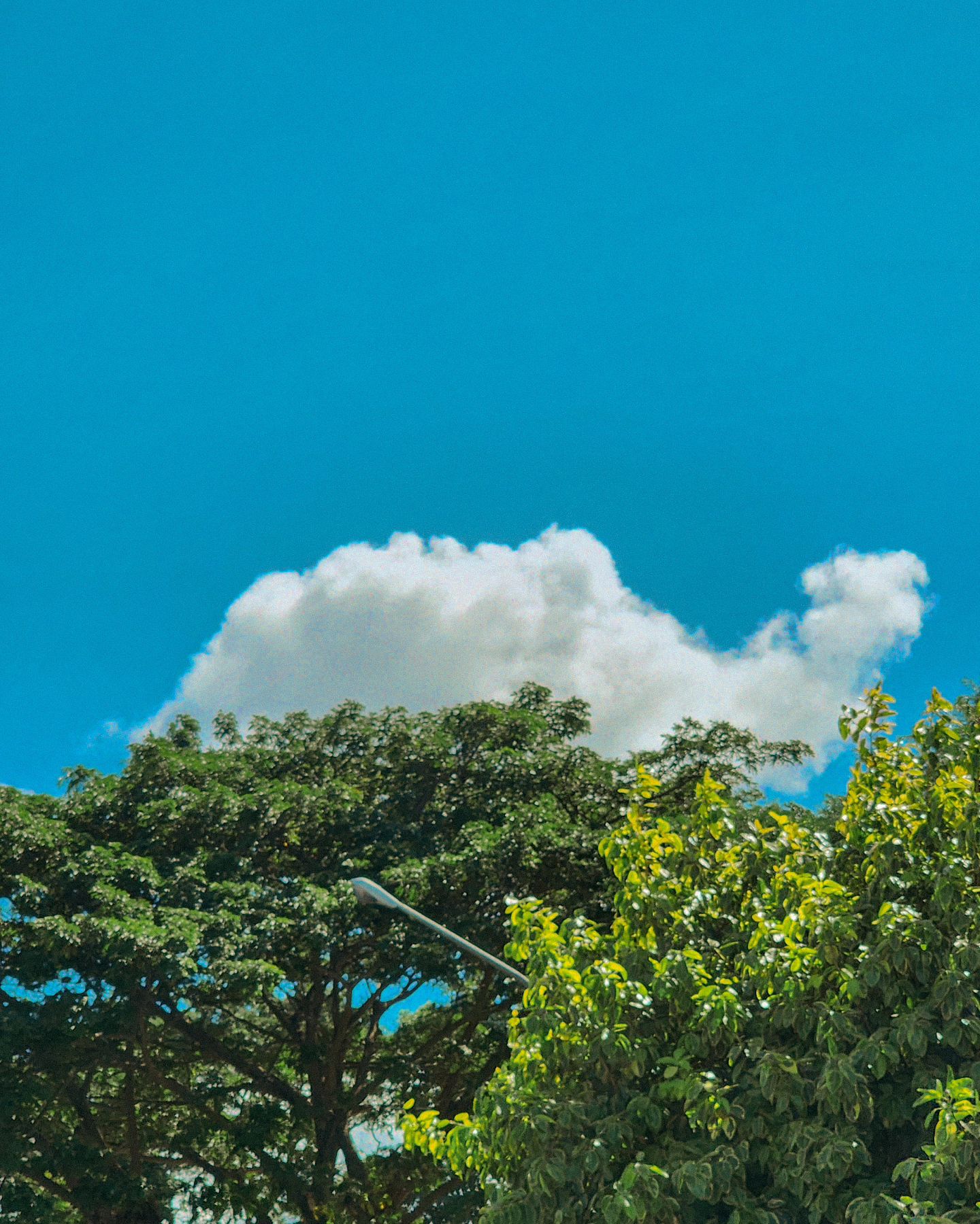 Use your imagination.
.
.
.
#picoftheday