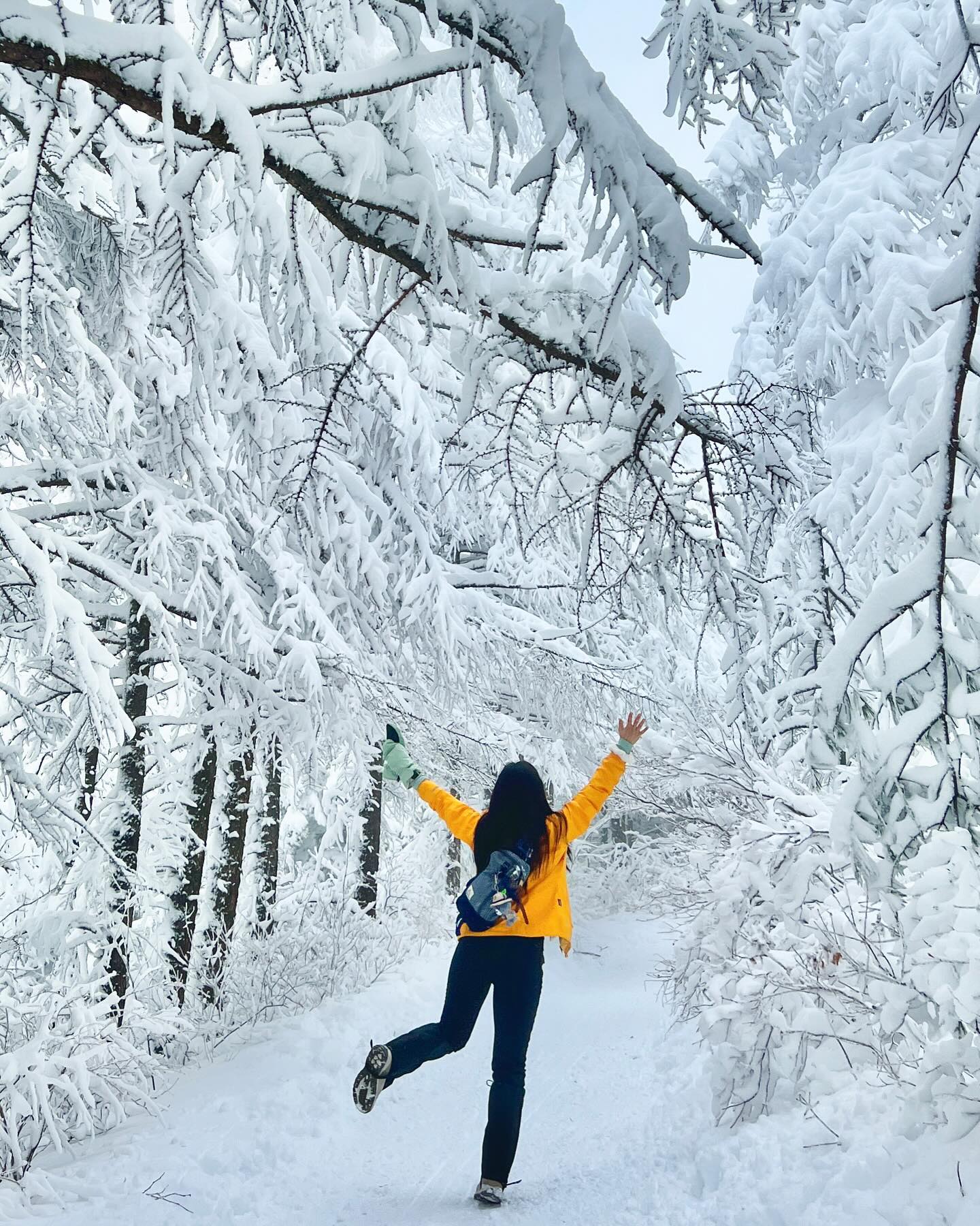 .
요즘 등산 자주 가서 멋진 사진 잔뜩 있다ㅎㅎ

어제 눈 왕창 와서 또 선자령 갈거지롱요😻🙌🏻
올겨울 선자령지킴이🙋🏻‍♀️🙋🏻‍♀️
강원도살이 잘 즐기고 있다!!히히 행복해💕

내일도 예쁜 사진 왕창 찍어와야지
요즘은 클로즈업 사진이 좋아❄️🩵