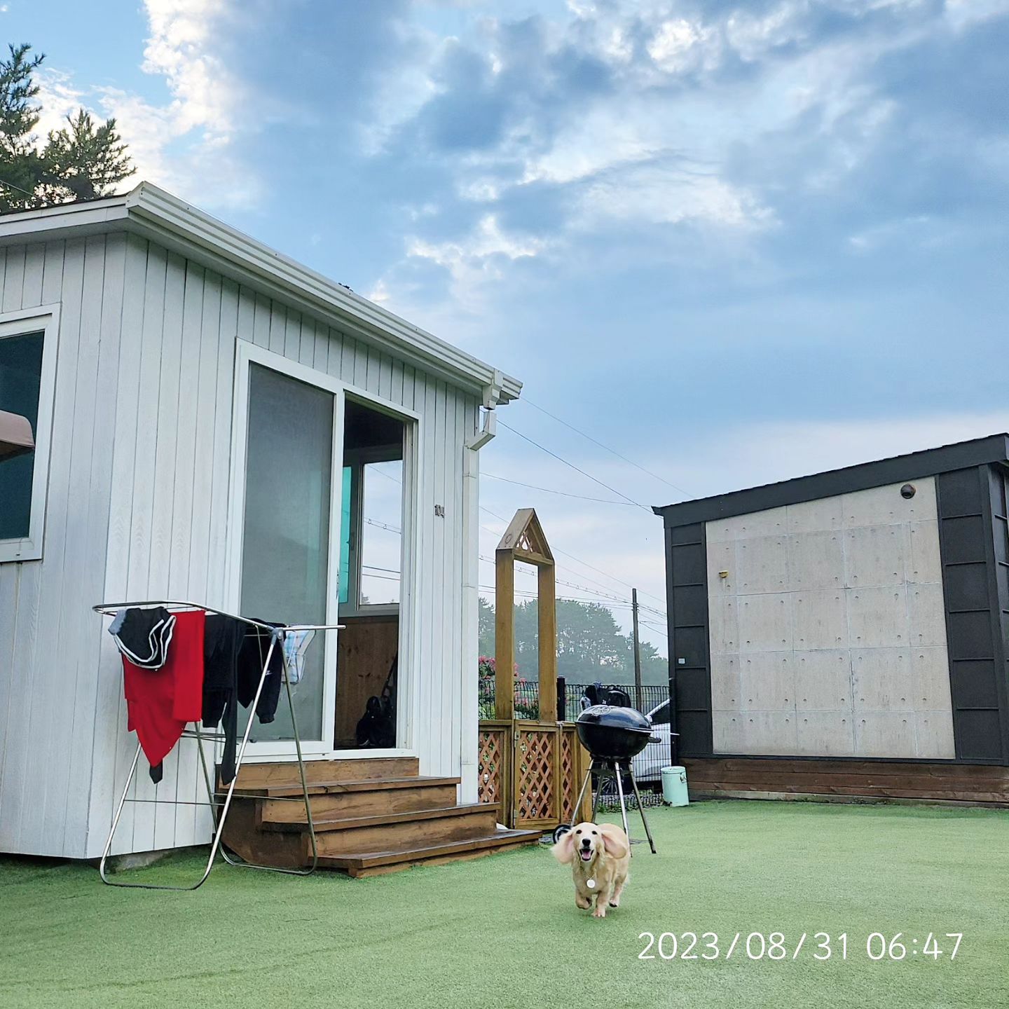 첫날은 흐렸지만 둘째날은 🐶맑음!!!
셋쨋날은 더 맑음!!

애들 맘껏 풀어둘수 있어서 너무 좋다 😀

견생처음 2박3일 여행에 금방 놀다 잠들어버린
도리와 튜브🧡🧡
( 개들이랑 같이 뻗은 구동이🫣 )

#애견펜션 #강아지랑여행 #견생라이프 #돌튭