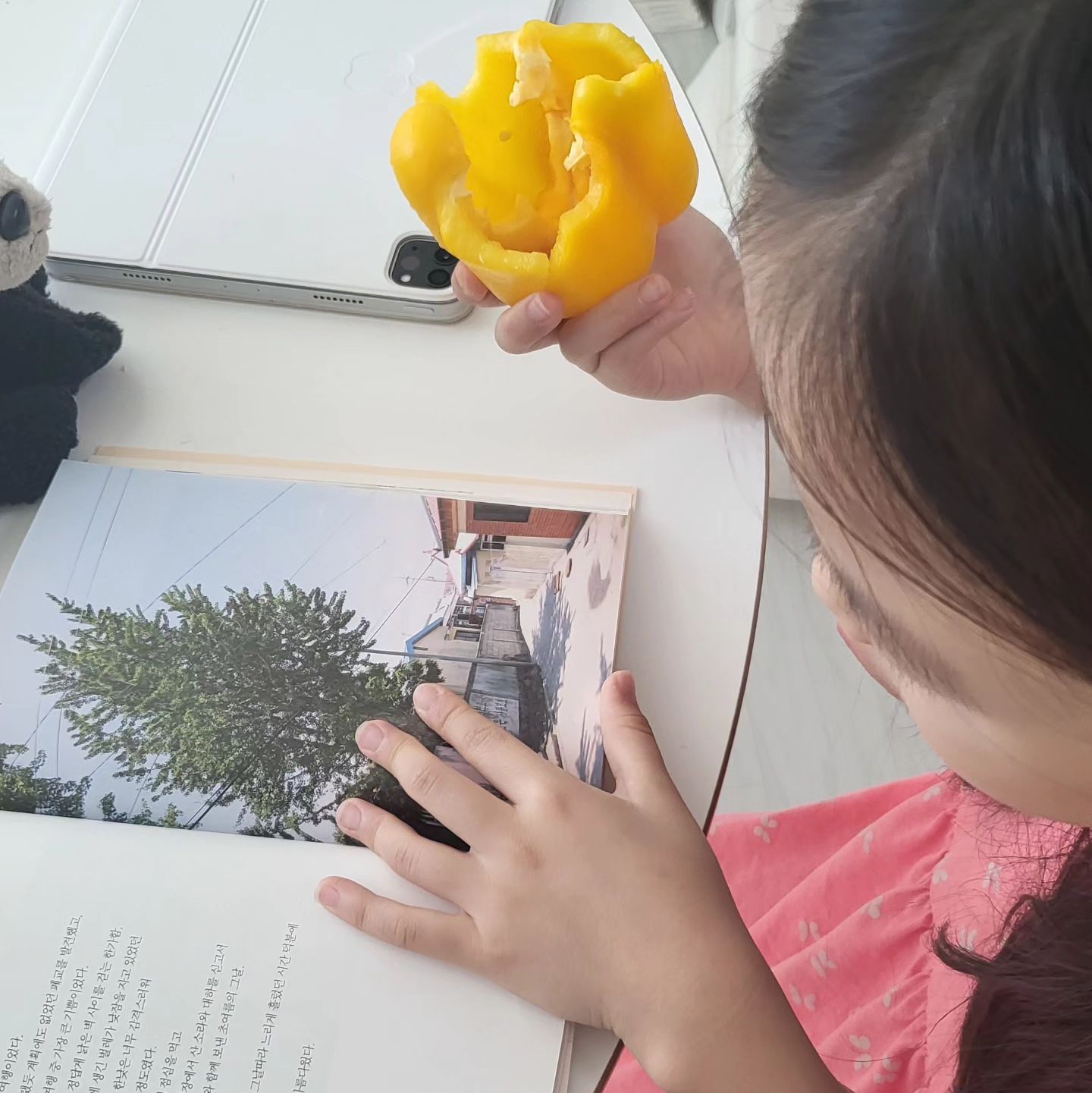 #9살 

몇 조각 겨우 먹던 파프리카 하나 순삭.
자기 여행가방은 스스로 야무지게 챙기기.
엄마 나 뒷모습 좀 찍어줘.

요즘 꽤 컸다고 느꼈던 순간들.

#7살터울
#힘들지첫째야?