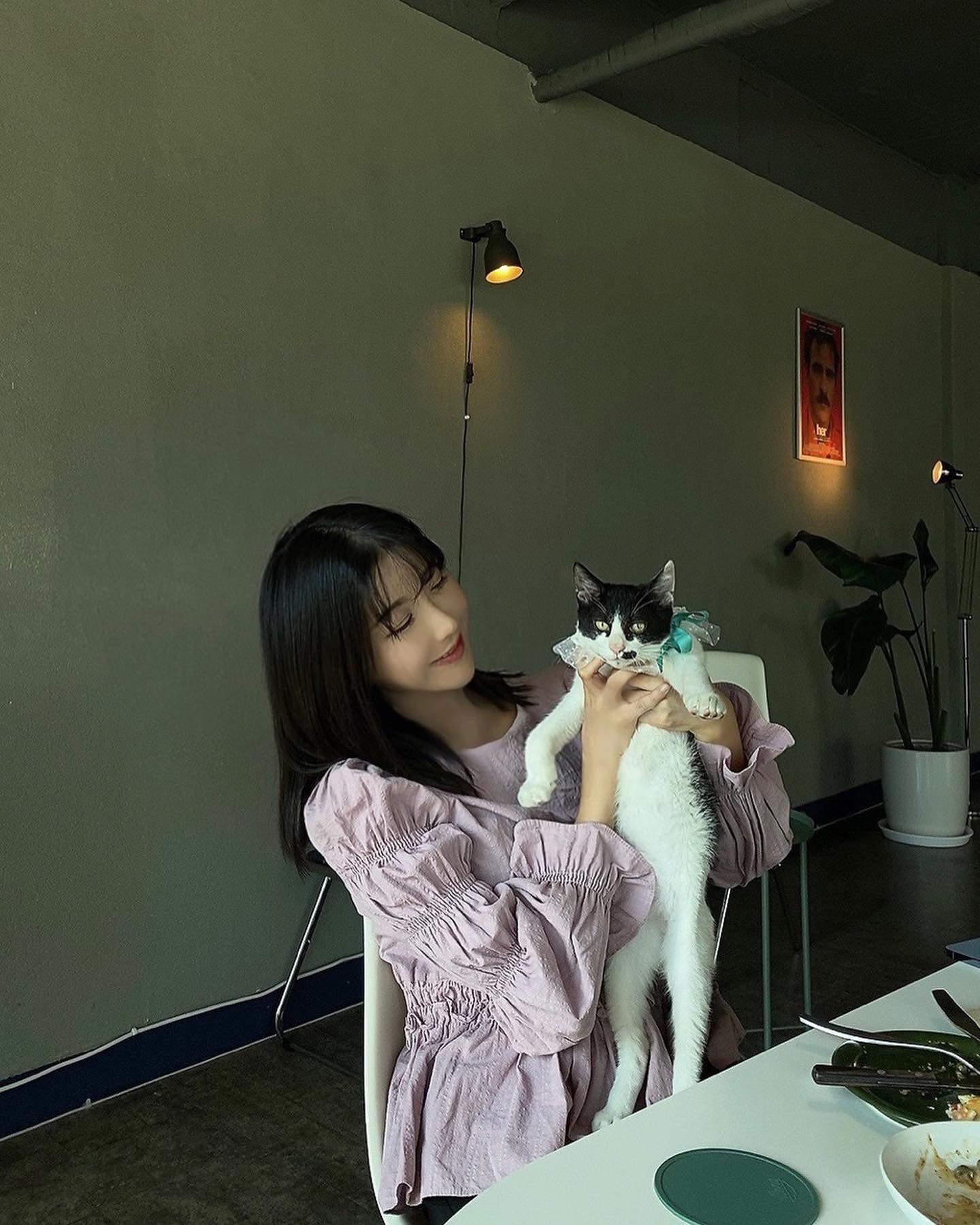 🐈‍⬛🐈🍼🎀🩵