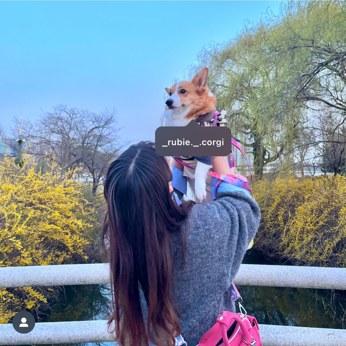 콘텐츠