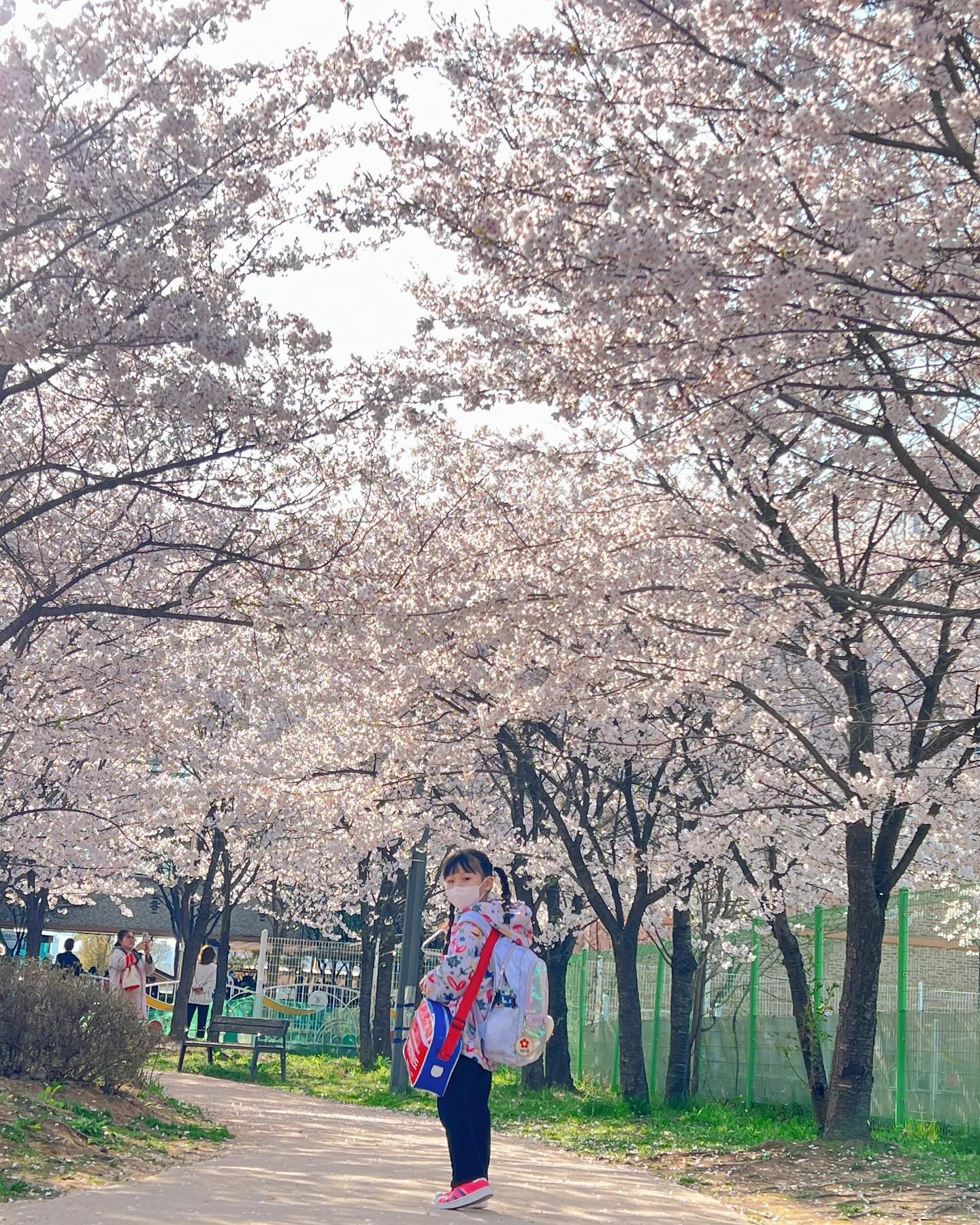 #벛꽃🌸 

학교가는길 벛꽃길 
이쁘다 ㅎㅎ 

아마도 올해는 꽃구경 따로 못할거 같은디 
이렇게라도 사진 남겨보자 

마스크 벗을걸 ㅠ 

#육아 #육아스타그램 #육아소통 #소통 #일상 #데일리 #베이비스타그램 #찌롱이 #육아맘 #닭띠맘