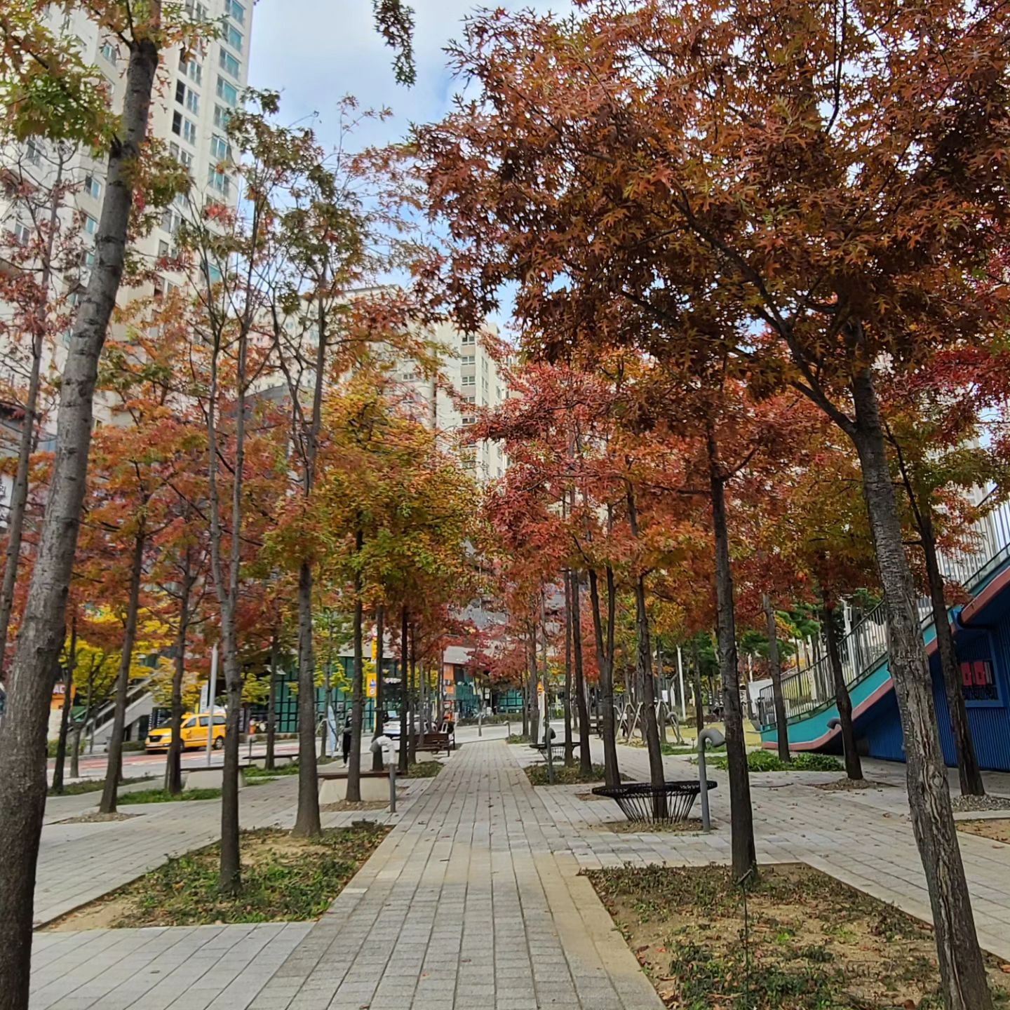 가을이다 🤩