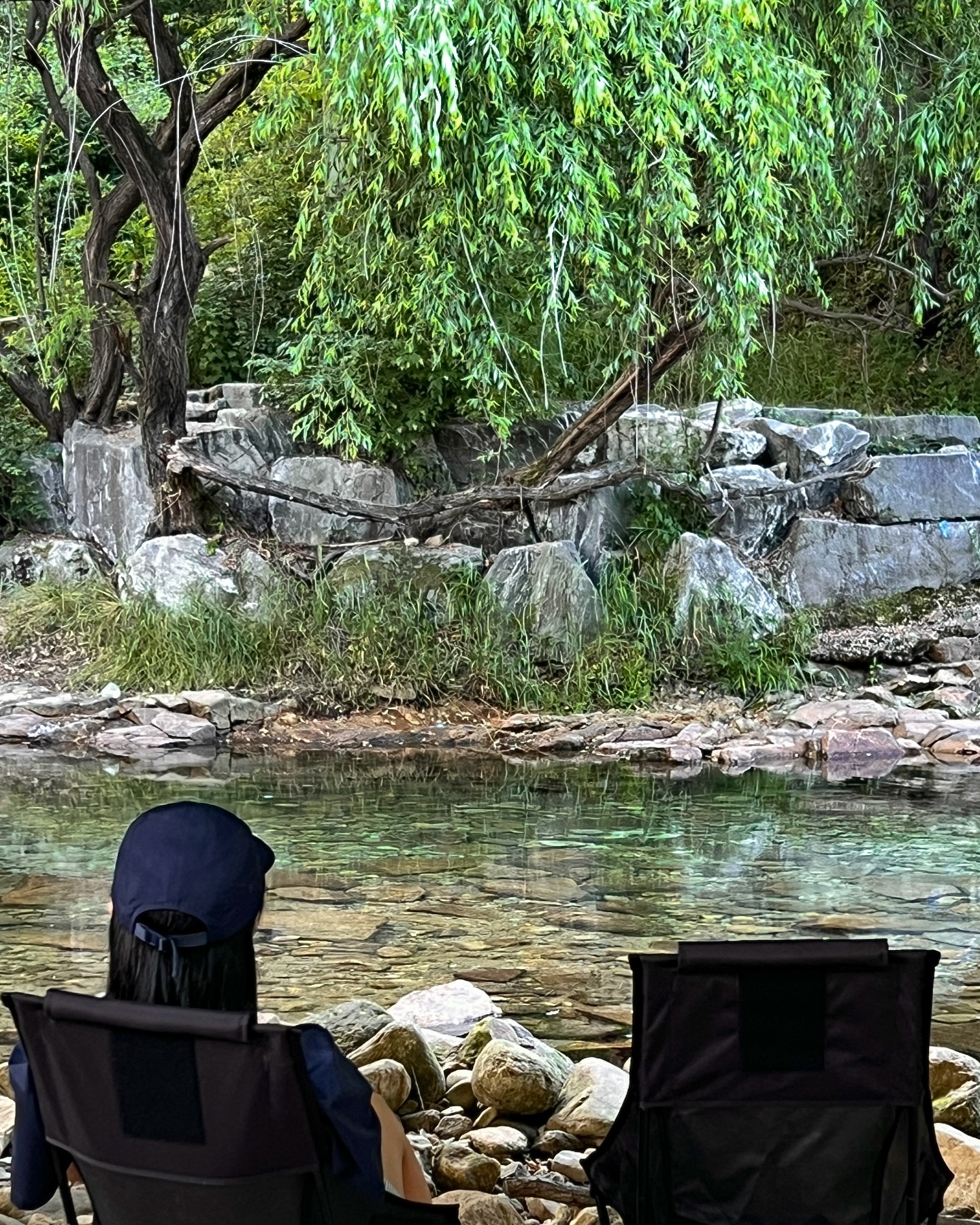 도심에 이런 곳이 있다니🫶🏽🌳