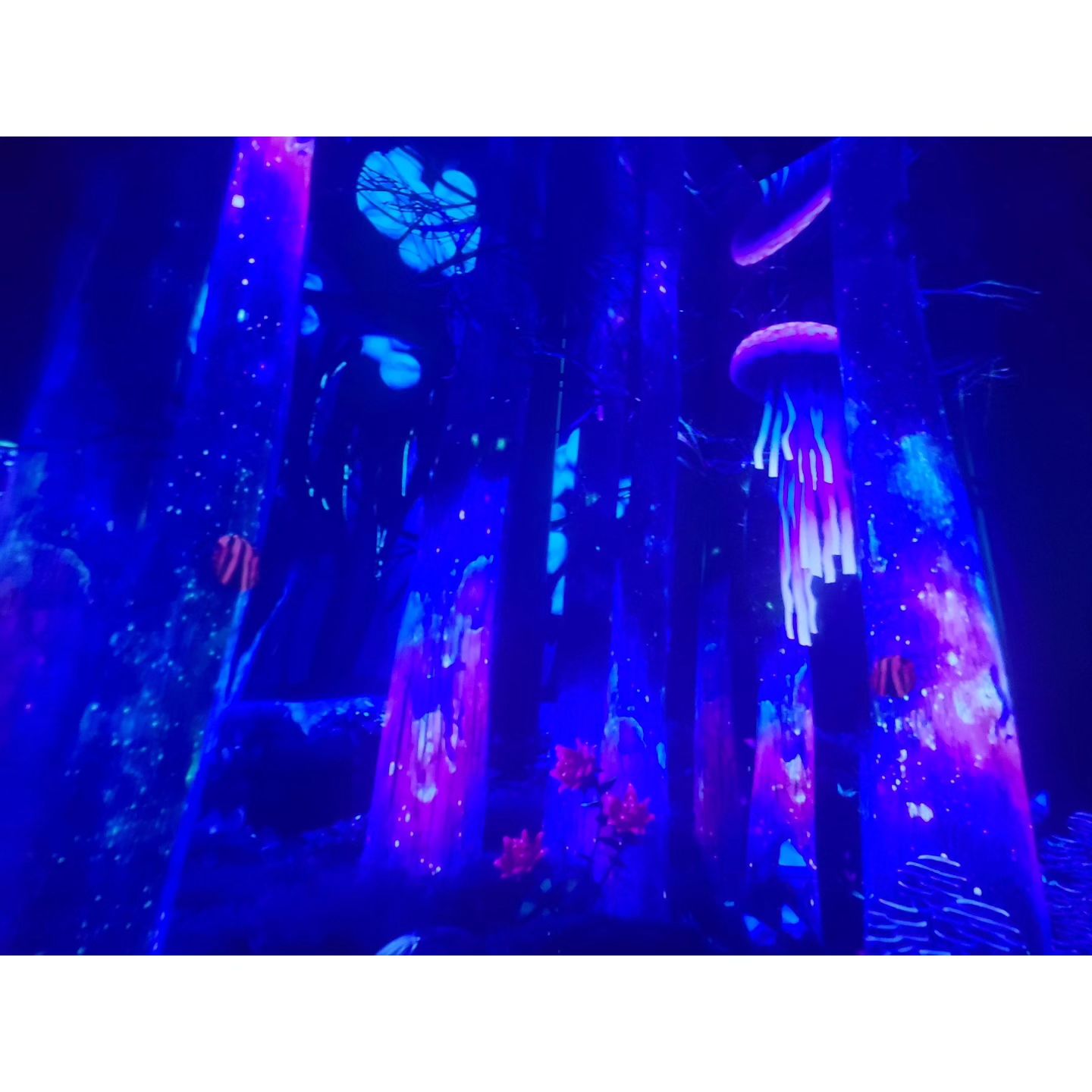 #속초여행