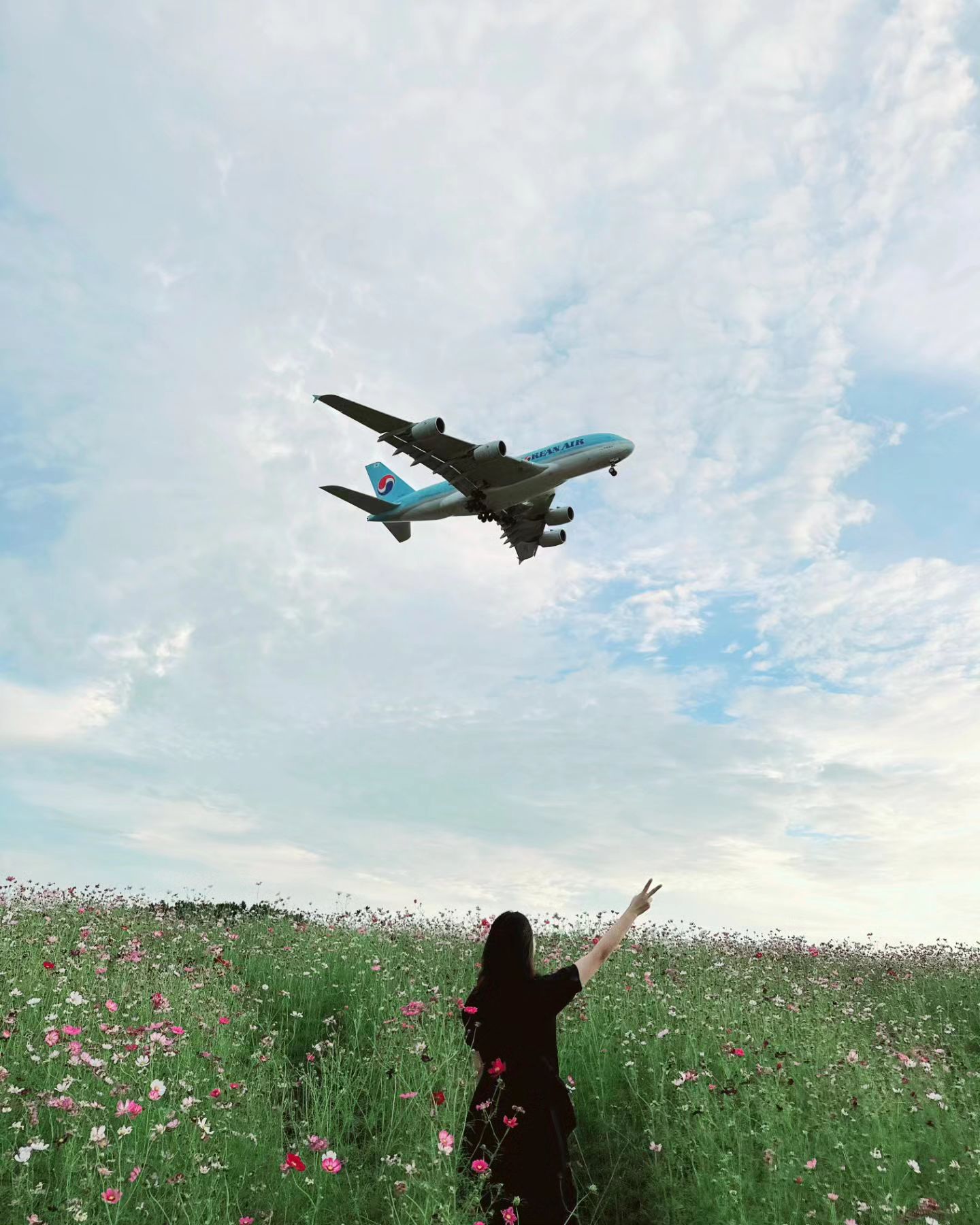 인천 영종도 인천공항 #하늘정원 코스모스 꽃밭개장🌺
가을 코스모스랑 갈대 포토존📷 
그리고 비행기✈️까지 가까이에서 볼 수 있어 좋다😊