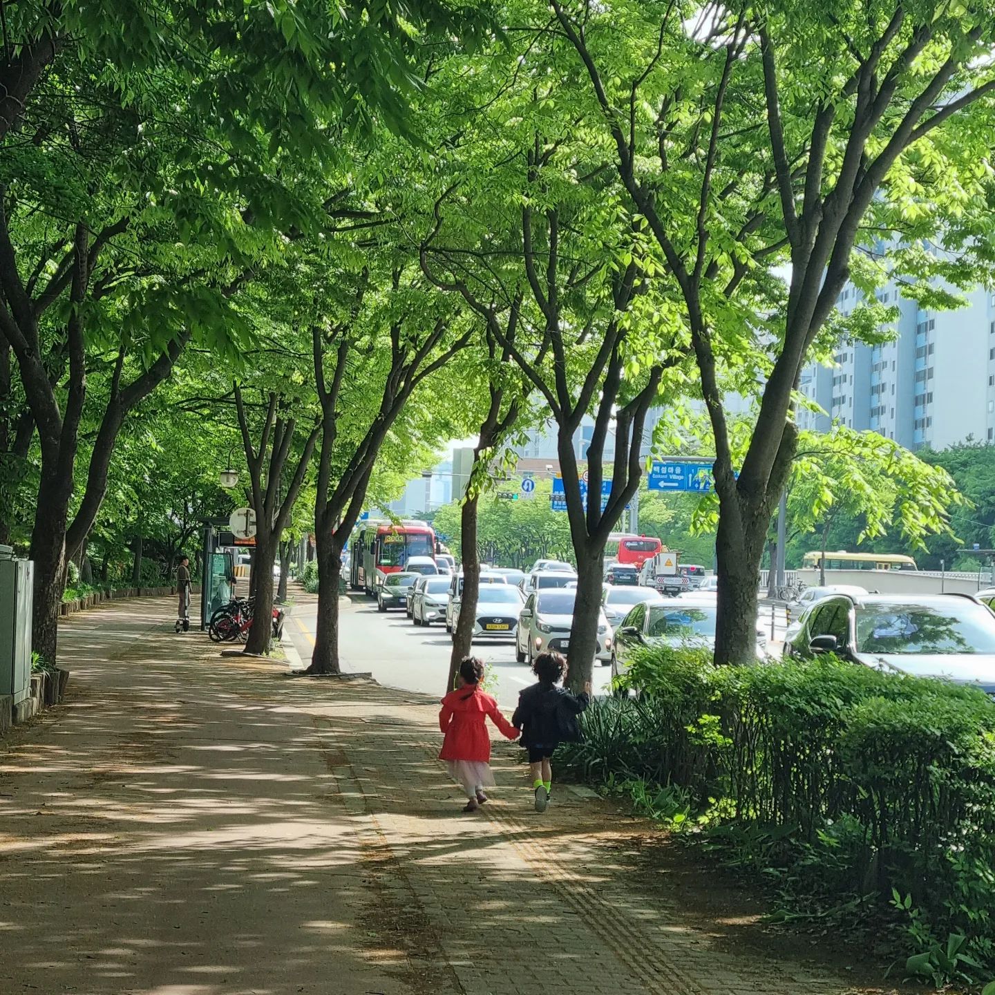 아침부터 신나게 등원♡

하민아 사랑해~ 편지도 써서 주고 이건나고 이건 너야~
손잡고 뛰어서등원ㅋㄱ

사이좋게 지내렴

#하민아 #사랑해 #편지쓰기 #요즘편지쓰기맛들림✏️ #쥐띠아기