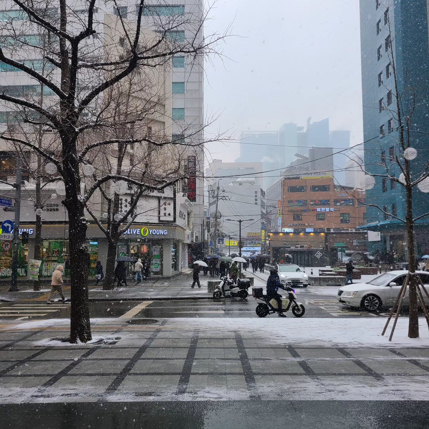 커피 기다리는 20분동안... 찍은 눈오는 풍경
(펑펑 왔는데 막상 눈은 잘 안보이네)

음식점, 카페라고 생긴곳은 맛을 떠나 일단 줄서기 전쟁인 이동네 🤪 으악

서울 컴백한지 한달 됐는데 아직도 적응안되고있습니다...