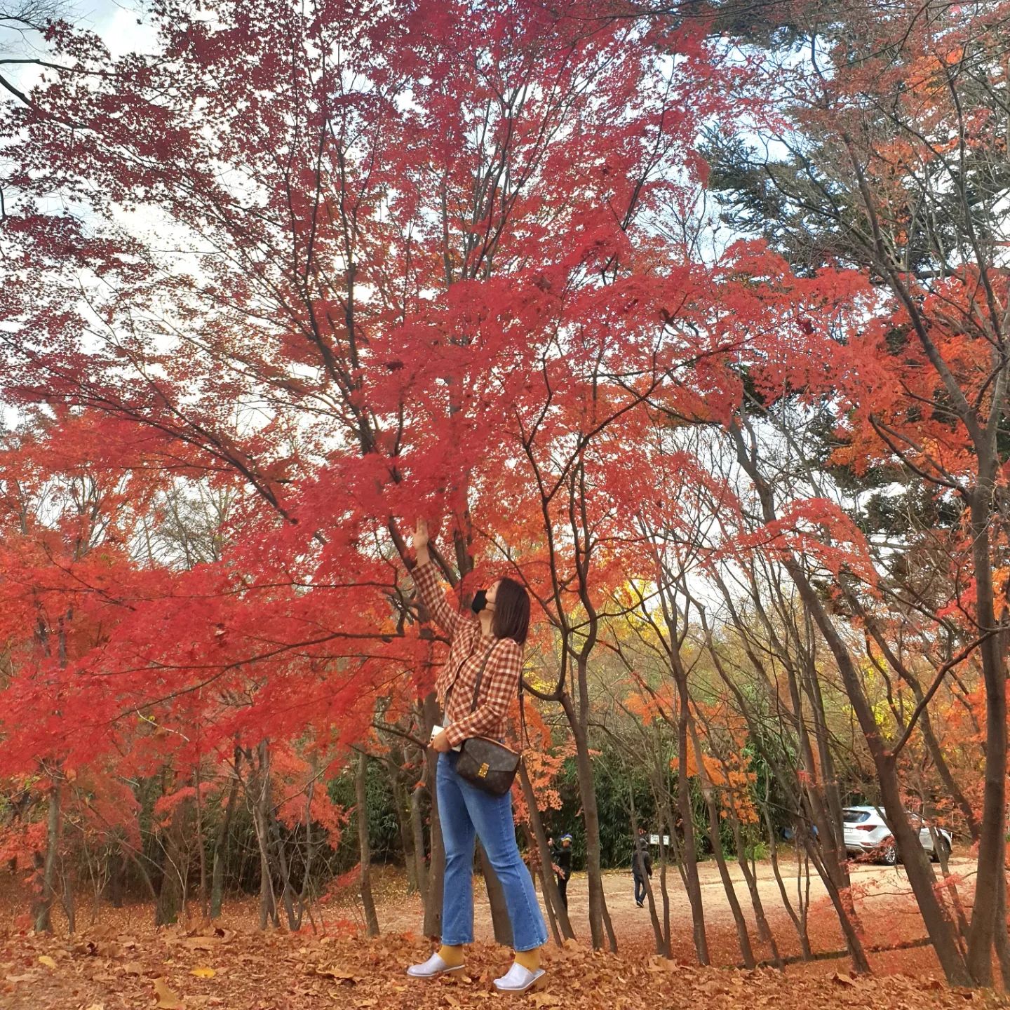 비 오기 전에🍁 
올해도 불국사는 여전히 단풍맛집

#불국사 #불국사단풍놀이 #경주단풍