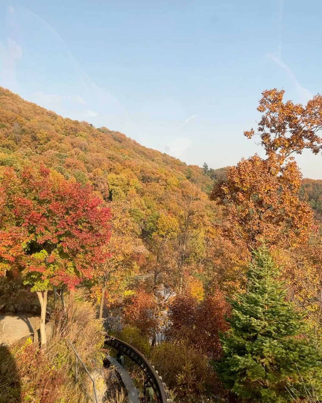 23년☀️
우리의 가을 기록🍂
.
.
.
#화담숲 #화담숲모노레일 #가을 #단풍구경 #가을끝자락🍁 #햇살이랑 #단풍놀이