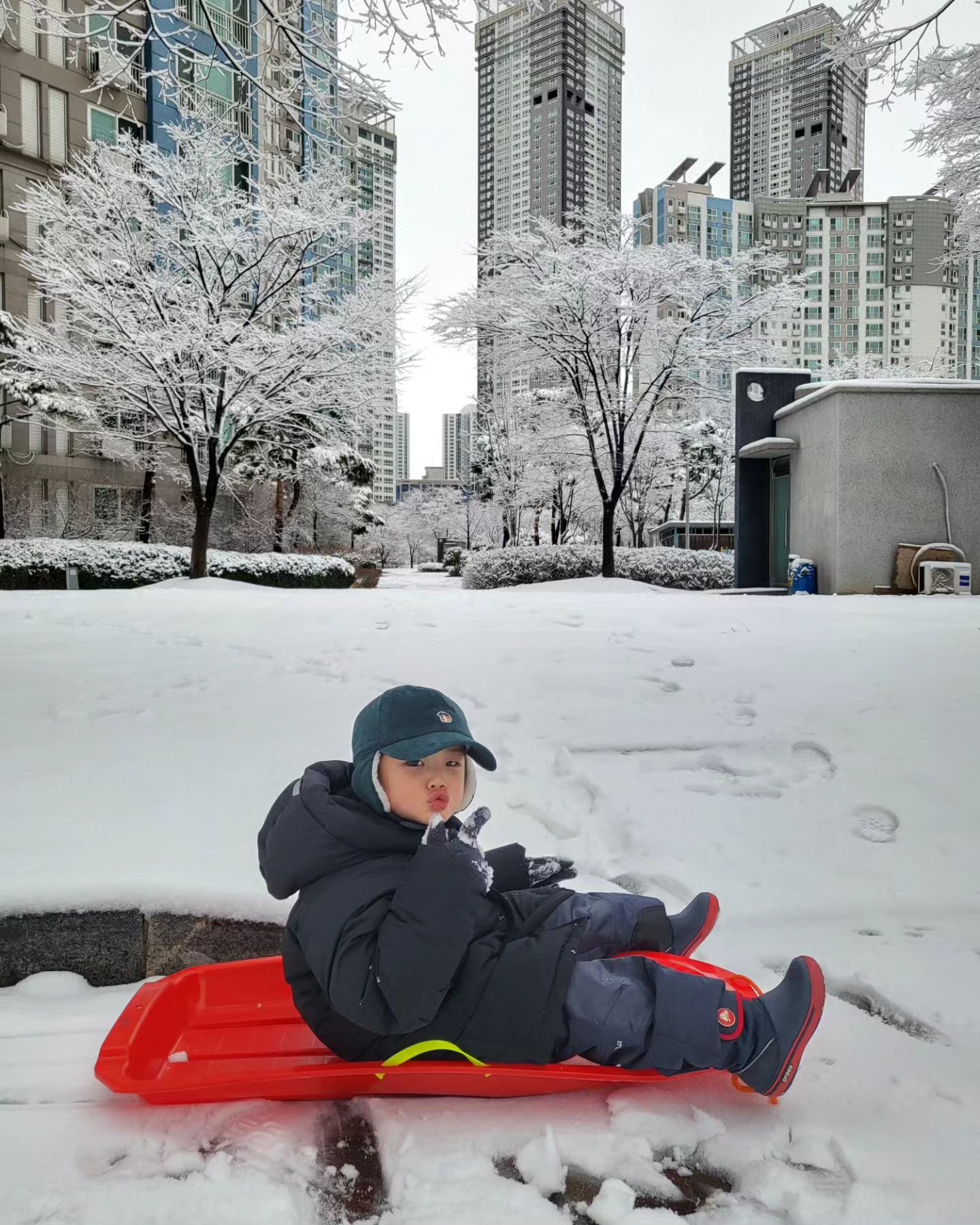 -
눈 오는날은 썰매타고 등원
중간중간 사진 찍고 싶은데
사진찍지 말고 빨리 썰매 끌라는 너🩷

요즘 잘 삐져서 입이 많이 나와 있음

#지난주
#눈오는날
#귀염둥이