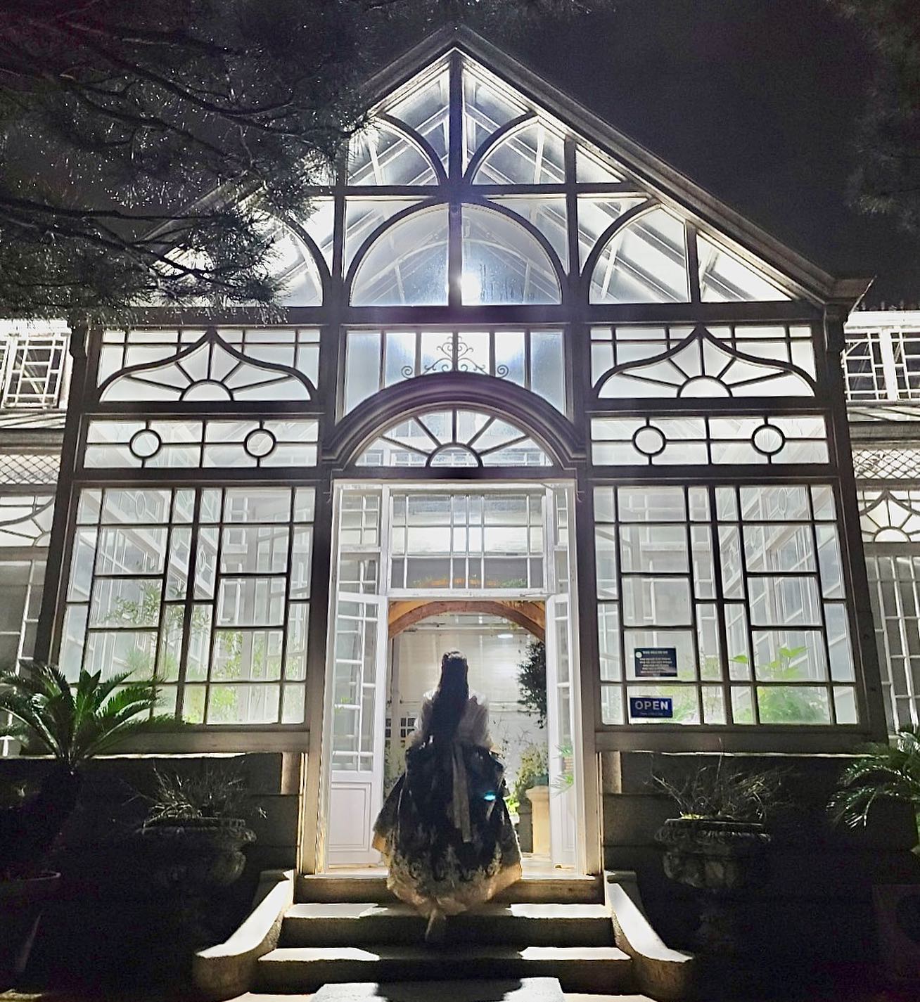 한복입구 창경궁 야간개장🌙