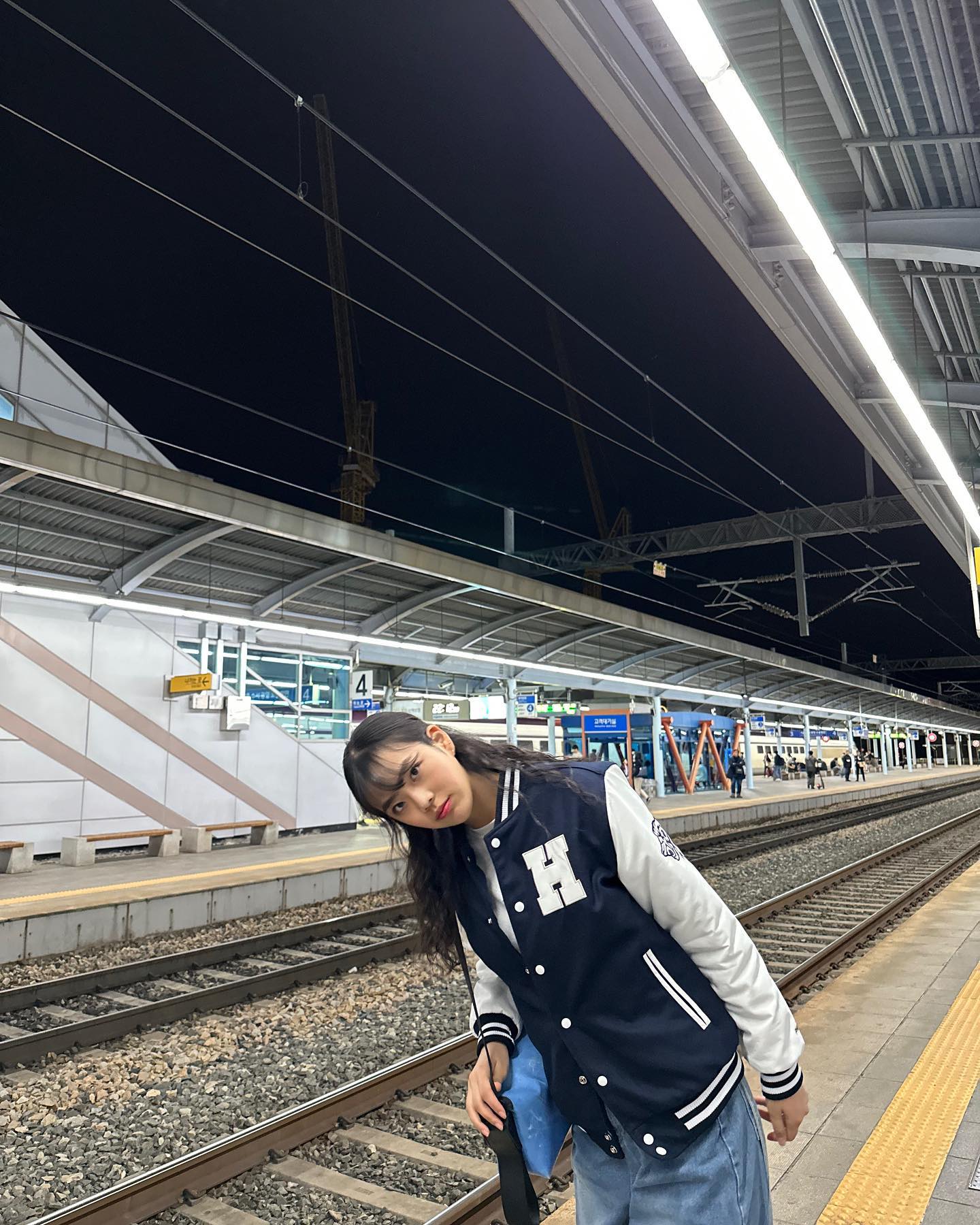 대전에 놀러간 푸들🐩😼