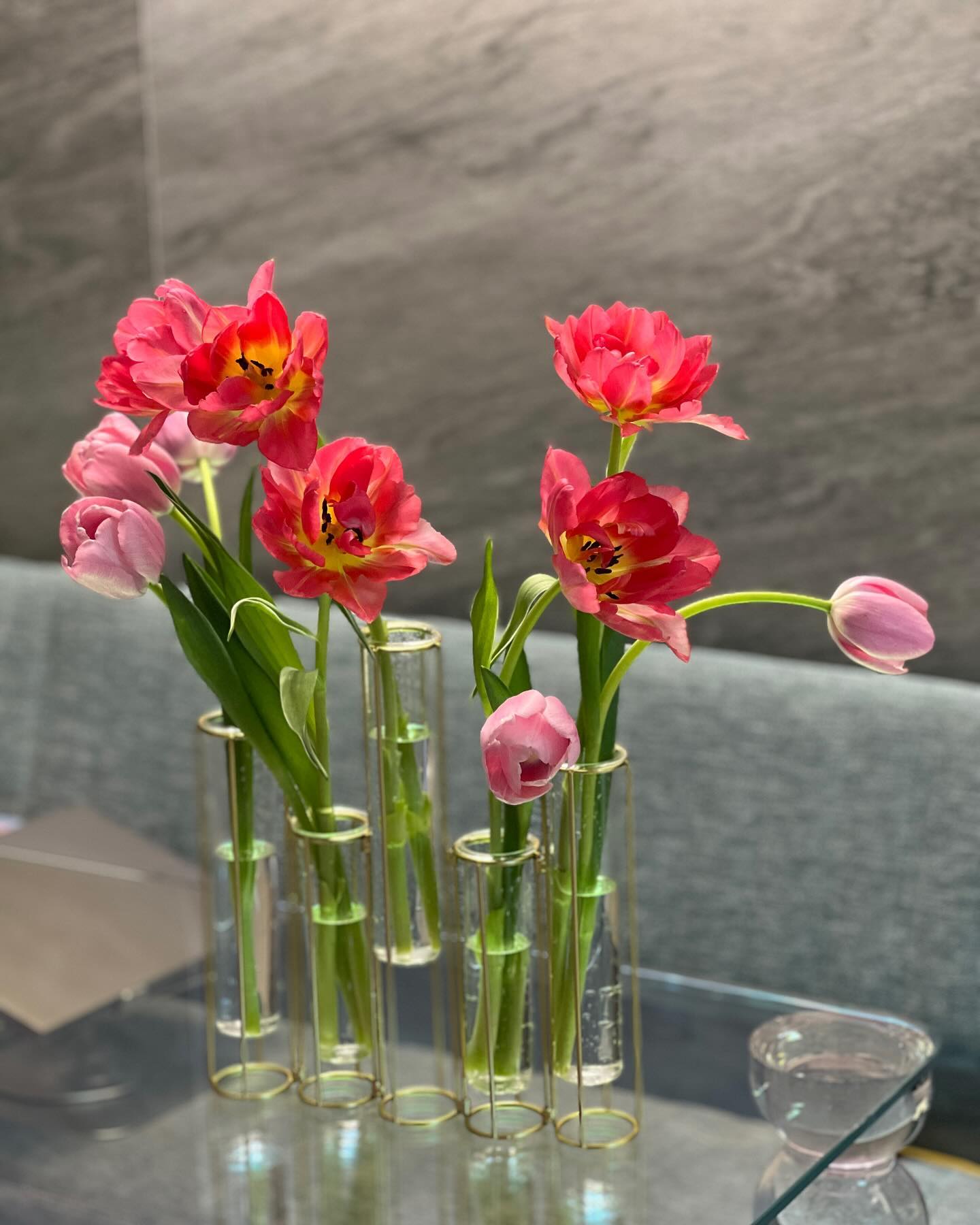 #🌷
인스타에서 자꾸 인기 스토리를 릴스로 만들어보래는데,
사진 꽉 채워서 업로드하고싶은 아날로그 사람!

처음 온 날부터 2주가 다 되어가는 오늘까지도 예쁜..
물론, 플라워 비타민 물로 자주 갈아주었기에 가능한🤣