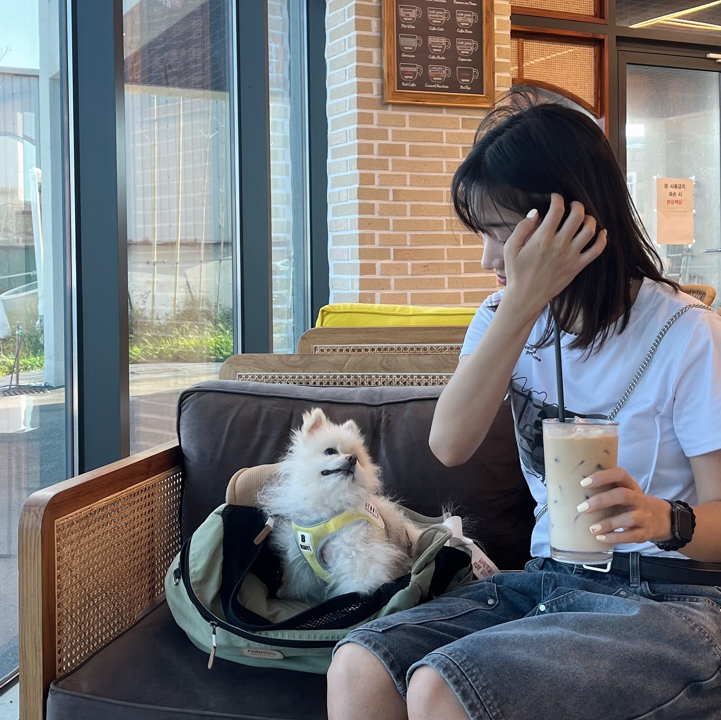 쩨트랑 카페가댜🐶
1. 신난 쪁
2. 편안 쪁
3. 졸린 쪁
zzzetkim