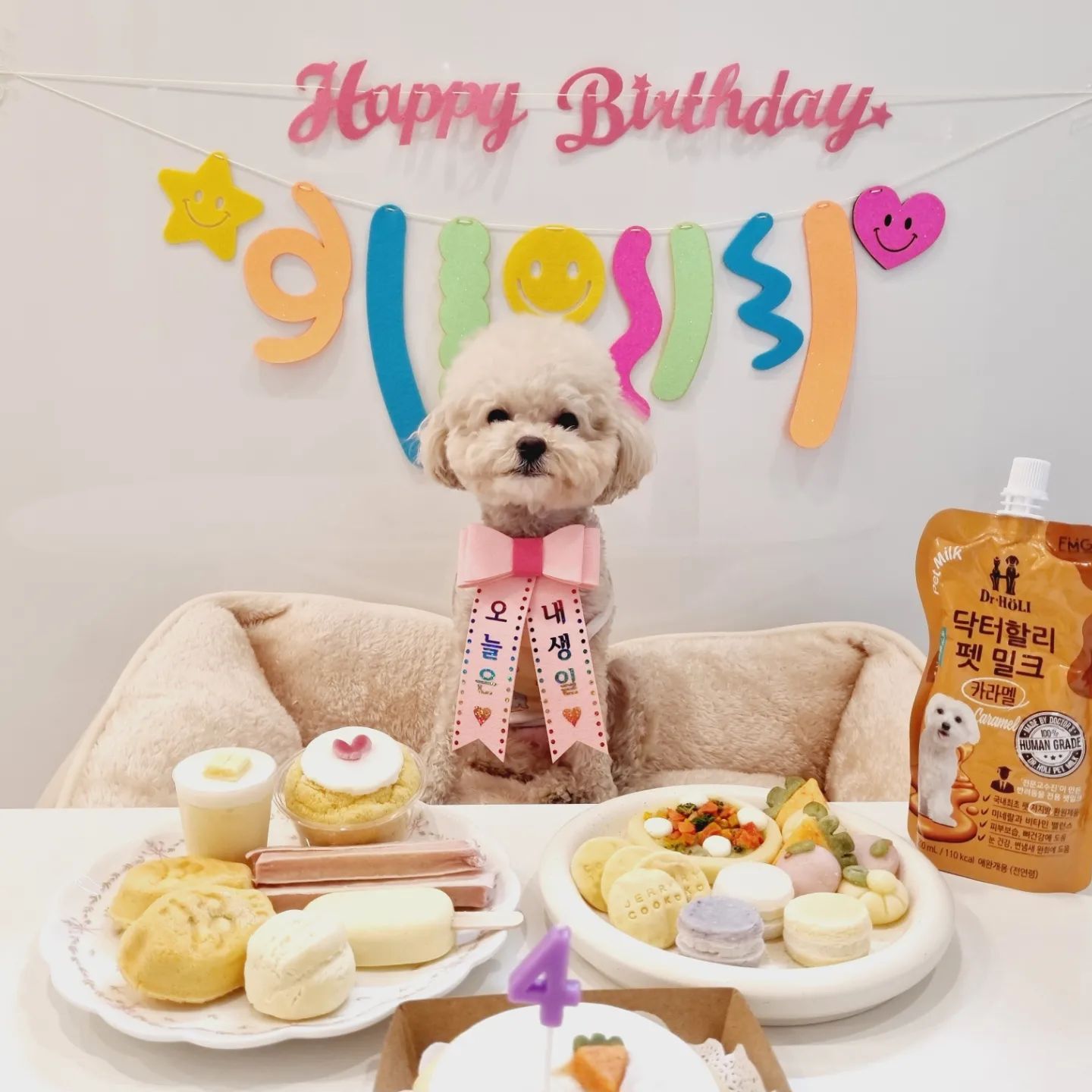 사랑스런 내 시키들 4살 생일 축하행😍
나나 아봉이 1년 동안 못먹은 속세맛 간식 냠냠하는 날!
1살이 엊그제 같은데 왜 벌써 4살이야ㅠㅠ
아봉 나나 사랑해~ 늘 건강하쟈~ 🐶
 5살 생일도 우리랑 함께 보내자ㅎ

.
.
.
#비숑 #푸들 #petstagram #dogsofinstagram #pet #강아지스타그램 #dogstagram #dog #puppy #puppylove #강아지 #댕댕이스타그램 #생일 #일상 #소통