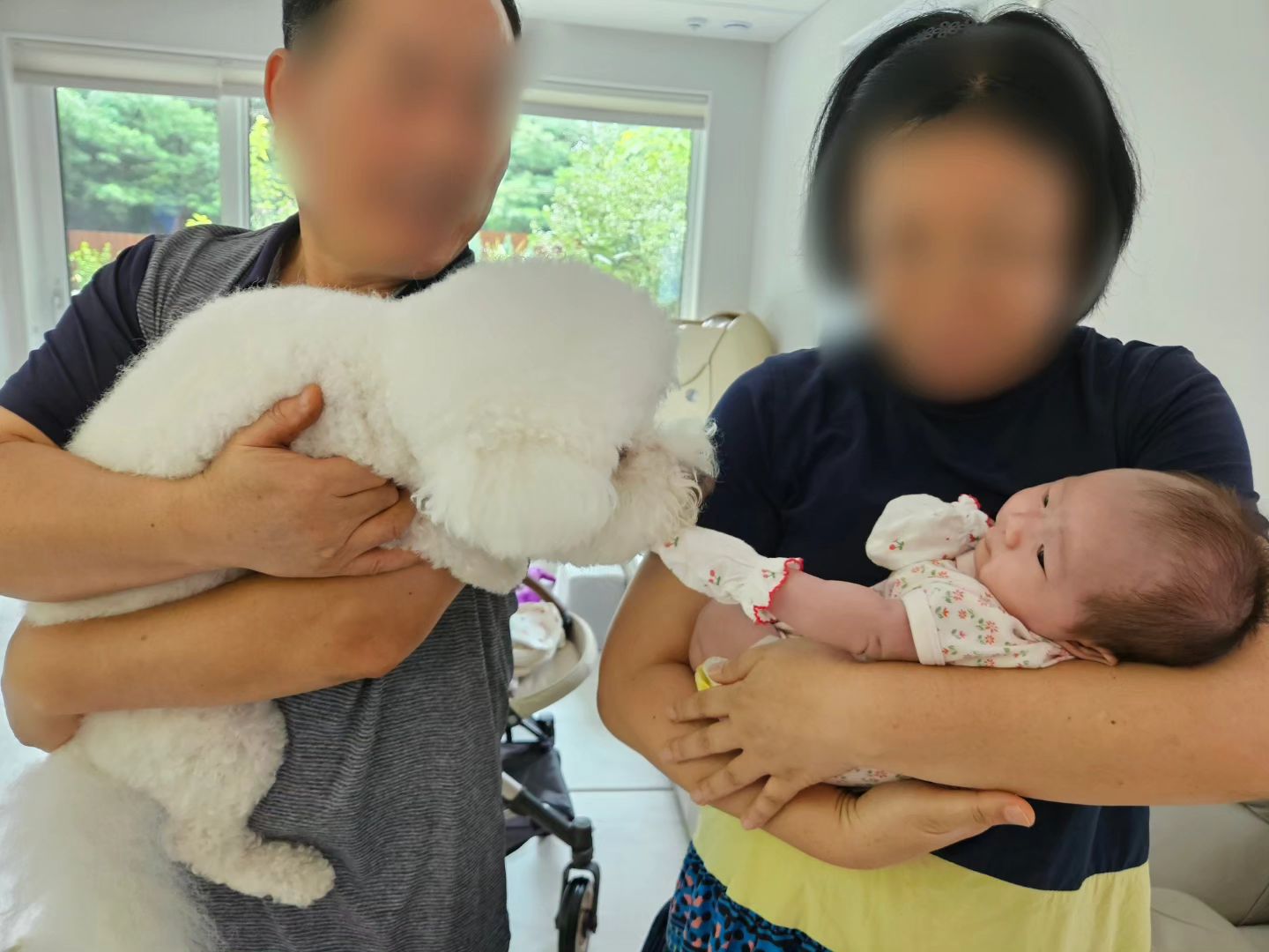 #달칸일상 #230729
.
.
아가를 처음 본 달칸이들
언누나는 달칸이가 혹여라도 할퀼까봐 조마조마.. 반달이는 착해서 냄새맡구 옆에 있어주고 칸이는 호기심쟁이라 놀고싶어 난리난리,,🤪
첫만남은 자알 끝났답니다 종종만나서 얼른 친해지자 달칸세은🫶
.
.
#달칸이네 #반달 #시츄 #13살 #노견 #칸 #비숑 #비숑프리제 #bichonfrise #5살 #다견가정 #모델견 #강아지모델 #팔로우 #맞팔 #선팔하면맞팔 #댓글 #좋아요 #좋반 #f4f #l4l #애견인소통 #소통 #강아지 #daily #아기와강아지