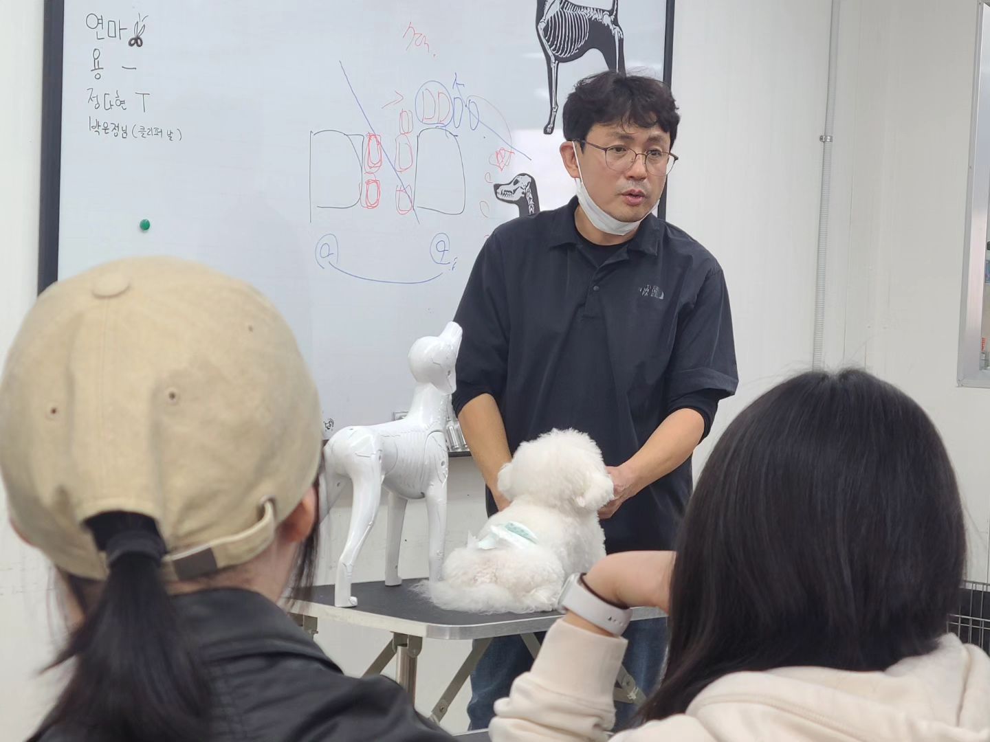 #양주애견미용학원
#원장님직강
.
이론수업
강아지 핸들링 하는법
컷트 미용 시 스테이 방법
클리핑 및 얼굴 컷트 시 잡는법

학생들이 할땐 말 안듣고 선생님이 할땐 말 잘듣는 아이들 🤭
이젠 다들 잘 하실 수 있으실거에요 👍🏻👍🏻
.
 ✔️ 자격증 준비기간 동안에도 실무수업/펫미용 수업을 함께 진행합니다
✔️ 소수정예 1:1 개별수업으로 진행됩니다 
.
#원장직강 #김형종교수님
#개인지도 #실견수업학원
#애견미용사자격증
#애견미용사2급 #애견미용사3급
#의정부애견미용학원 #동두천애견미용학원 #포천애견미용학원 #파주애견미용학원
#애견미용학원 #애견연맹 #위그램클립 
#개인교습 #애견미용개인교습
#꿈나무애견미용실 #양주애견미용