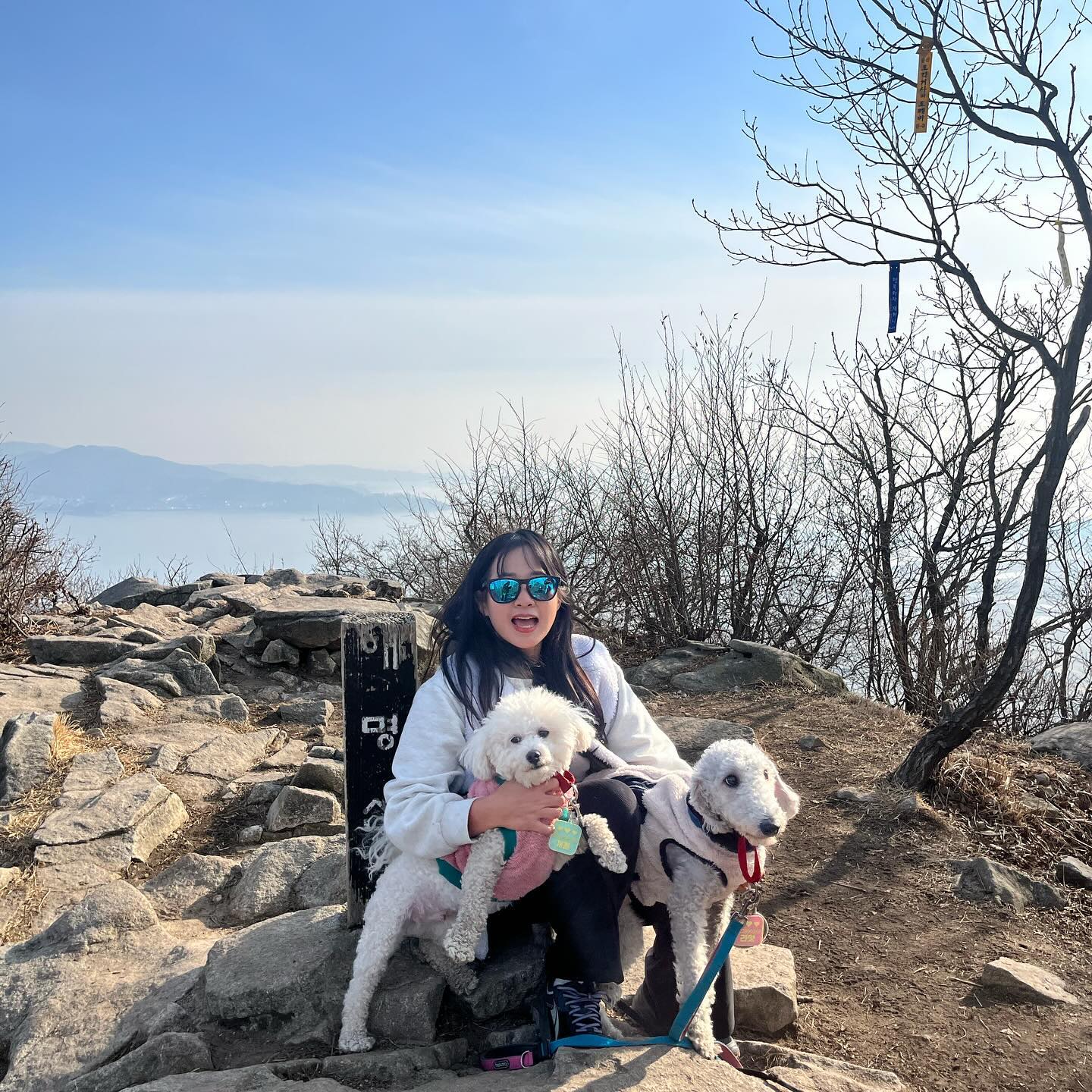 #julymountainclub 

⛰️전득이고개~해명산정상~원점회귀(왕복3.6km)
바다와 산을 한번에 즐길 수 있는! 넘 예뻤던 트레킹 코스 해명산!
양 옆을 넓은 바다와 논뷰를 즐기면서 올랐던 길

일부 급경사바위길을 제외한 나머지 길들은 
댕댕이에게도 넘 좋았던 푹신한 오르락내리락 흙길❤️

여름 자월도 트레킹에 이어서 올 겨울은 석모도 트레킹🐶
.
.
#oudoors #adventuretime #explorer #travel #mountains #trip #trekking #hiking #summit #wild #instagram #yolo #여행 #트레킹 #하이킹 #청춘 #힐링 #등산 #산스타그램 #등산스타그램 #산스타그램🌳🌲🌿 #아웃도어 #해명산 #석모도 #석모도해명산 #강화도 #섬앤산 #반려견동반산행 #애견동반산행