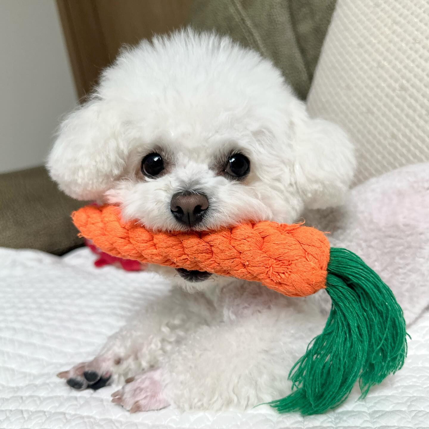 화이팅🤍
젤리공이 응원할궤