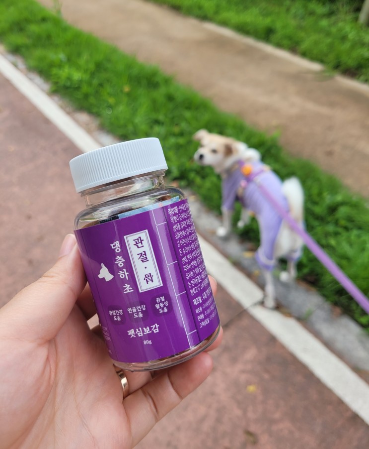 [펫심보감]댕충하초 관절 / 강아지영양제 후기!