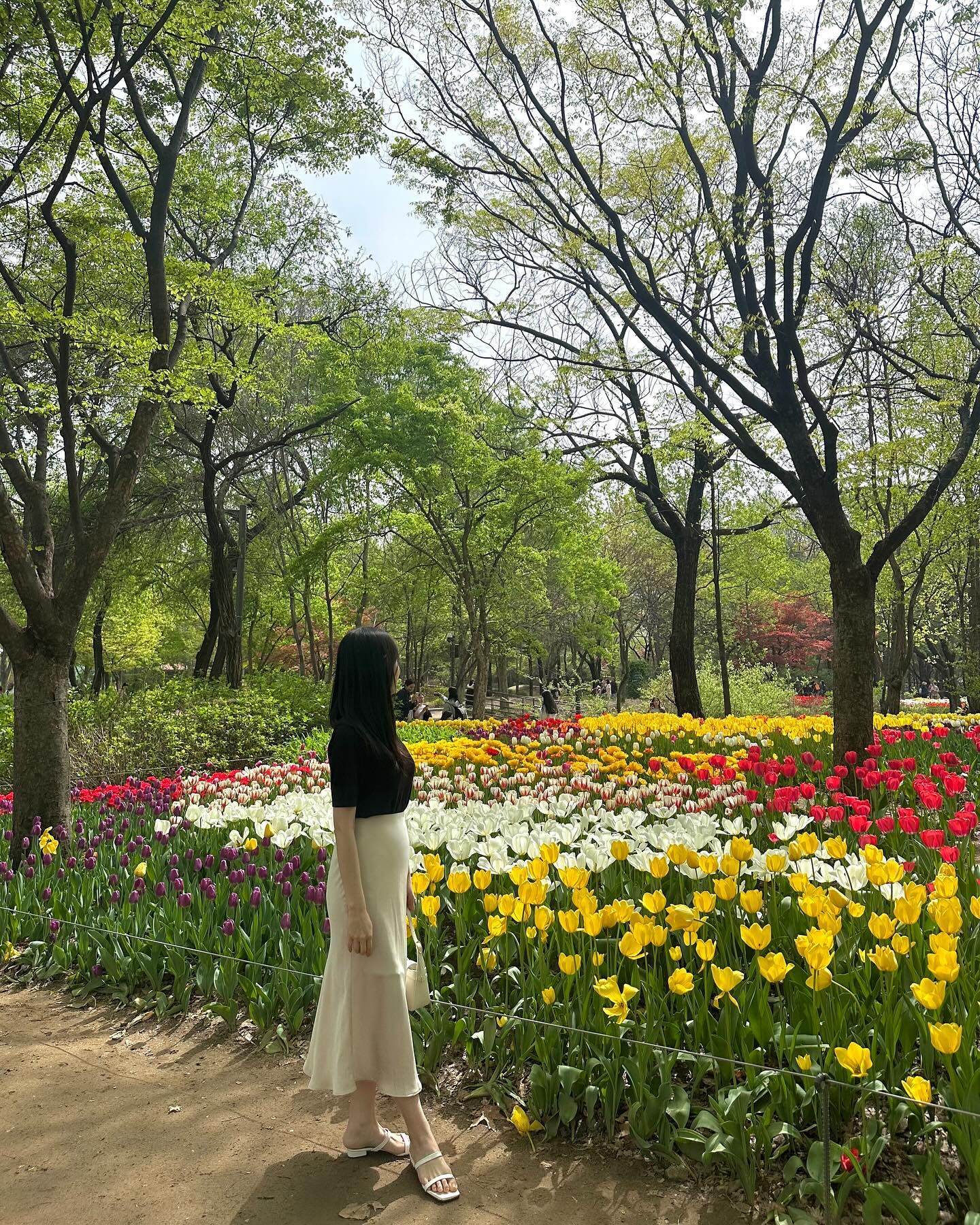 배나온게 사진으론 티가 많이 안나서 신난 14주 6일차🌷 #서울숲