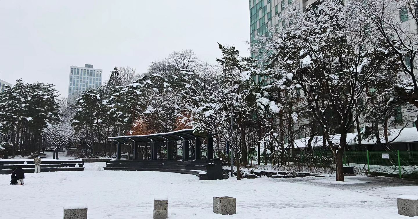 23.12.30. 눈이 펑펑 오는 한국 
12월은 31일 까지 있는거니까 아직 끝이 아니다(?)

#겨울한국 #잔망루피 #한국의겨울 #눈사람 
#winter_in_korea 
#snowing