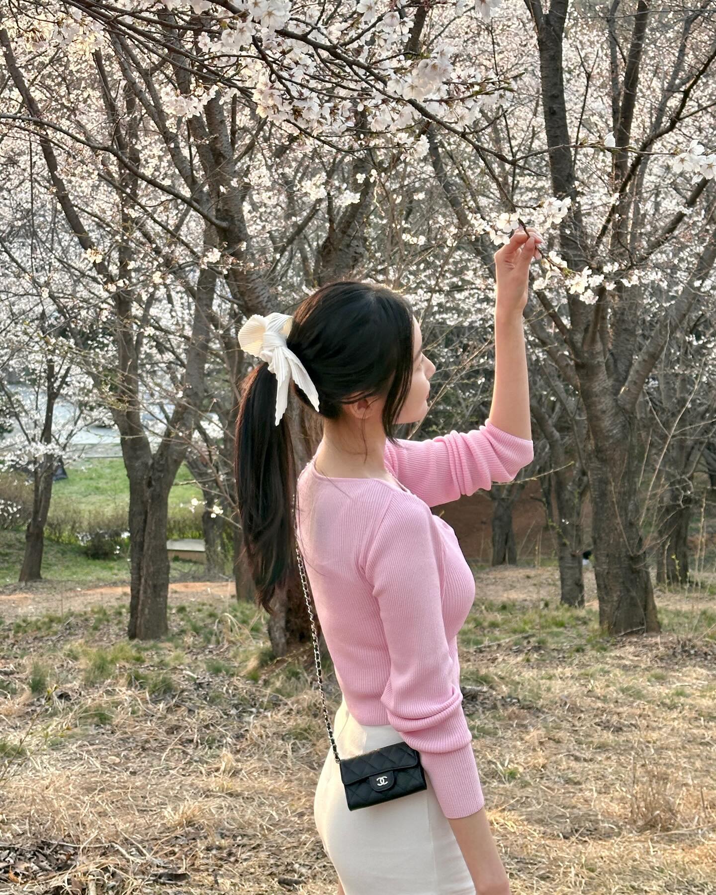 벚꽃 덕분에 너무 행복한 요번달🌸💗