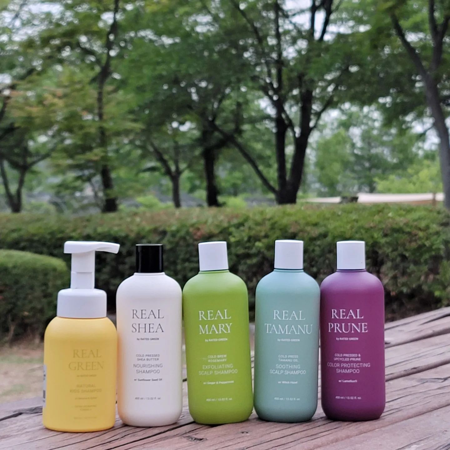 #광고 #댓글이벤트 rated_green
맨 아래에 댓글 이벤트 있어요😊 
⠀
샴푸 어떤 거 쓰세요?
두피에 흡수되는 것도 같고 해서 두피상태에 맞게 
잘 골라서 신중하게 선택해야겠더라고요!
⠀
이번에 해외에서 핫한 샴푸 브랜드 레이티드 그린
비건샴푸 5종을 써봤는데 진짜 좋아요🤍
⠀
✔️리얼시어 너리싱 샴푸(보습샴푸, 건조손상)
✔️리얼마리 엑스폴리에이팅 스칼프 샴푸(두피진정, 두피각질)
✔️리얼타마누 수딩 스칼프 샴푸(두피트러블,진정)
✔️리얼프룬 컬러 프로텍팅 샴푸(염색모발)
✔️리얼그린 키즈 샴푸(영유아용)
⠀
헤어나 두피상태에 따라 5가지를 골라 사용하는데
나이가 들면서 자꾸 건성으로 변해가는 저는
시어버터 보습샴푸가 제일 맘에들었어요😄
⠀
에코서트 인증 시어버터와 해바라기씨 오일 등
함유되어있어 머릿결이 완전 촉촉 !
⠀
⠀
📍 댓글이벤트 참여방법(샴푸별로 1명씩 선발)
🏷자신의 두피/헤어 타입에 맞을 것 같은 샴푸 댓글남기기
🏷사용 후 간단 후기 작성 (필수해시태그:레이티드그린)
(리얼프룬샴푸 제외)

📍기간 : 5/21-5/26
⠀
⠀

#레이티드그린 #샴푸추천 #키즈샴푸 #보습샴푸 
#두피샴푸 #염색보호샴푸 #비건샴푸 #손상모발샴푸 
#콜드브루정제법 #콜드프레스추출법 #비건뷰티 
#원픽샴푸