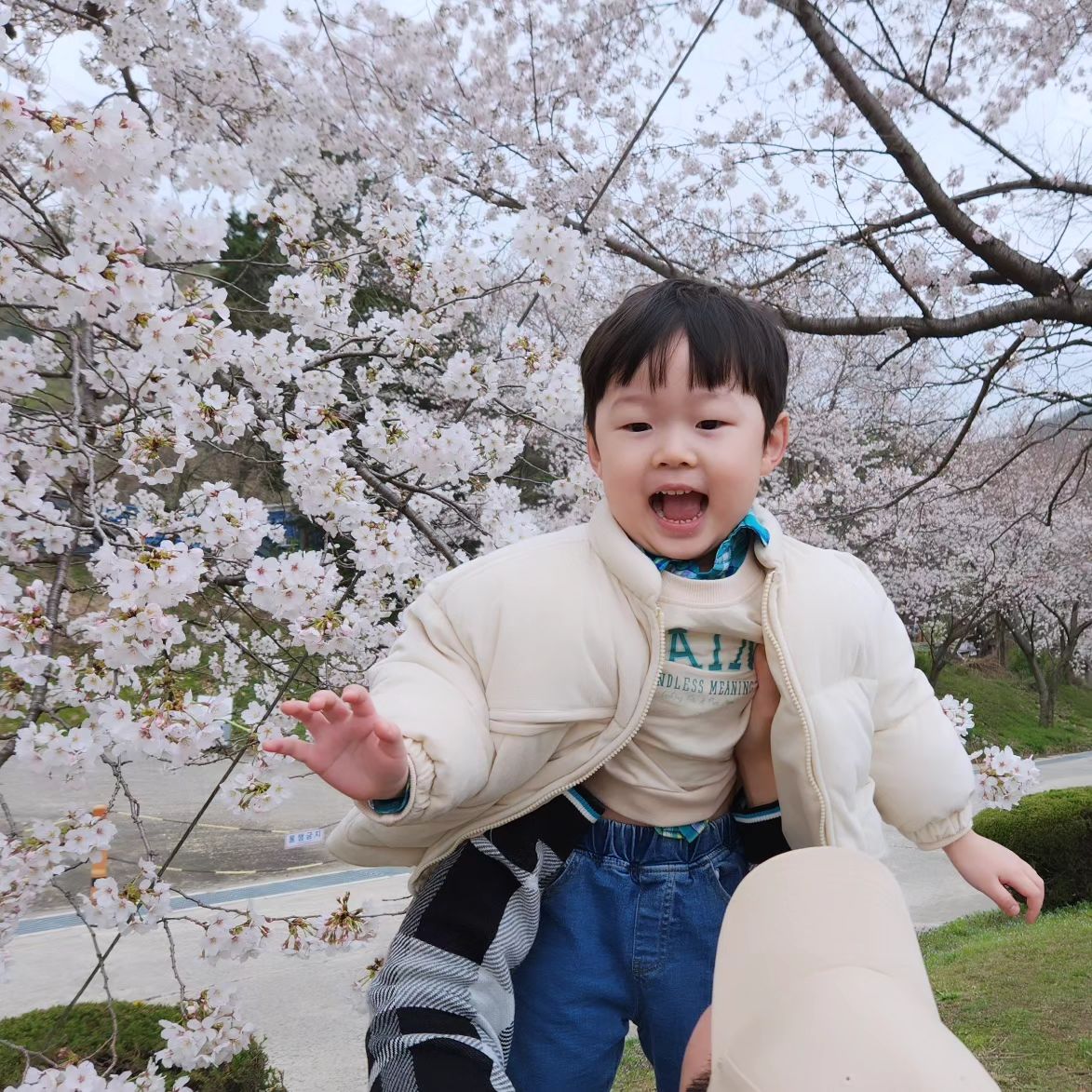 가온이😘 가람이😘 하람이😘

우래기들 사랑해♡

#벚꽃샷
#깜찍 
#봄나들이
#다둥이
#다자녀
#삼형제
