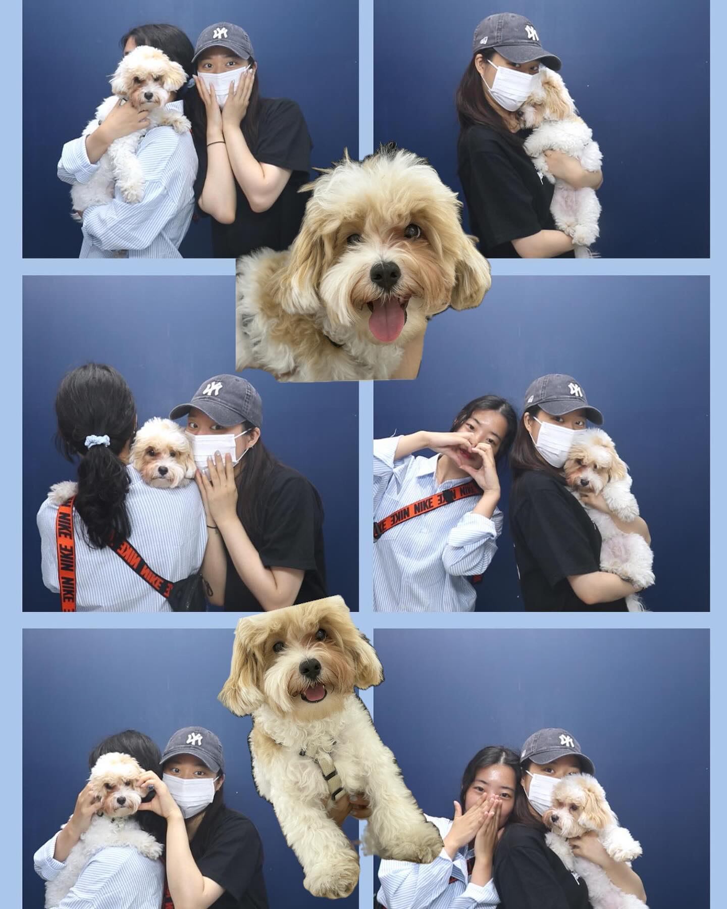 사랑해주윤발🐶