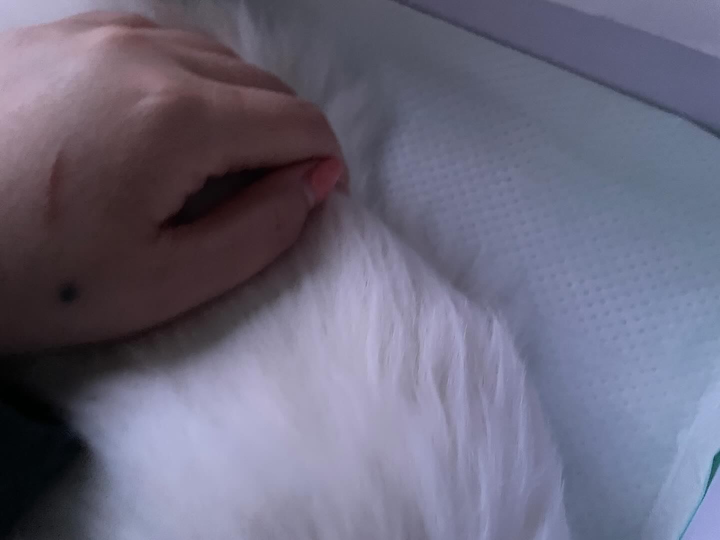 꼬맹아 엄마가 미안해. 정말 미안해