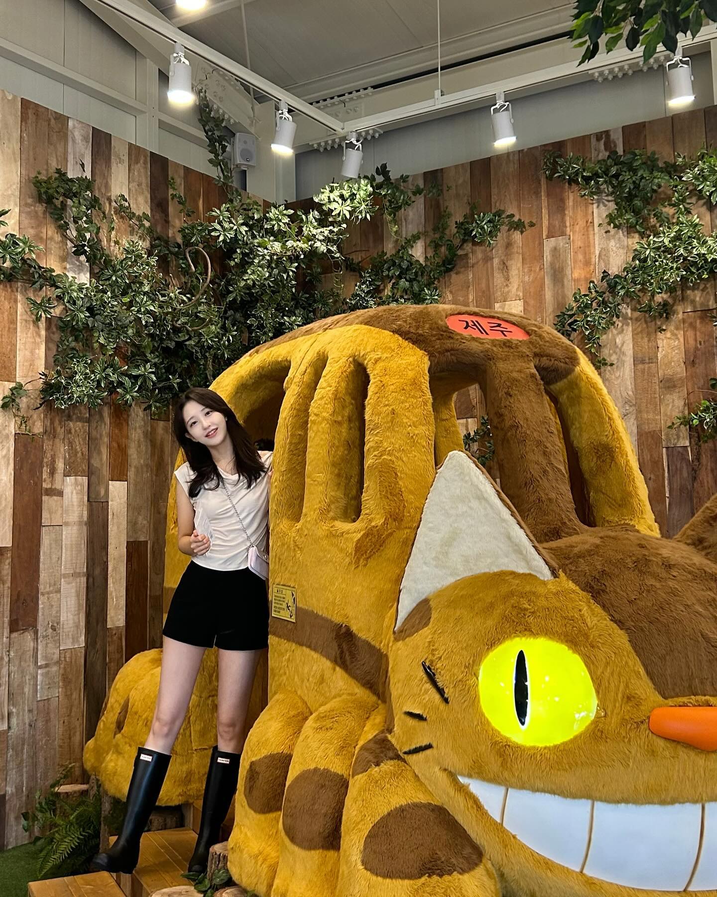 나도 봤다 고양이 버스