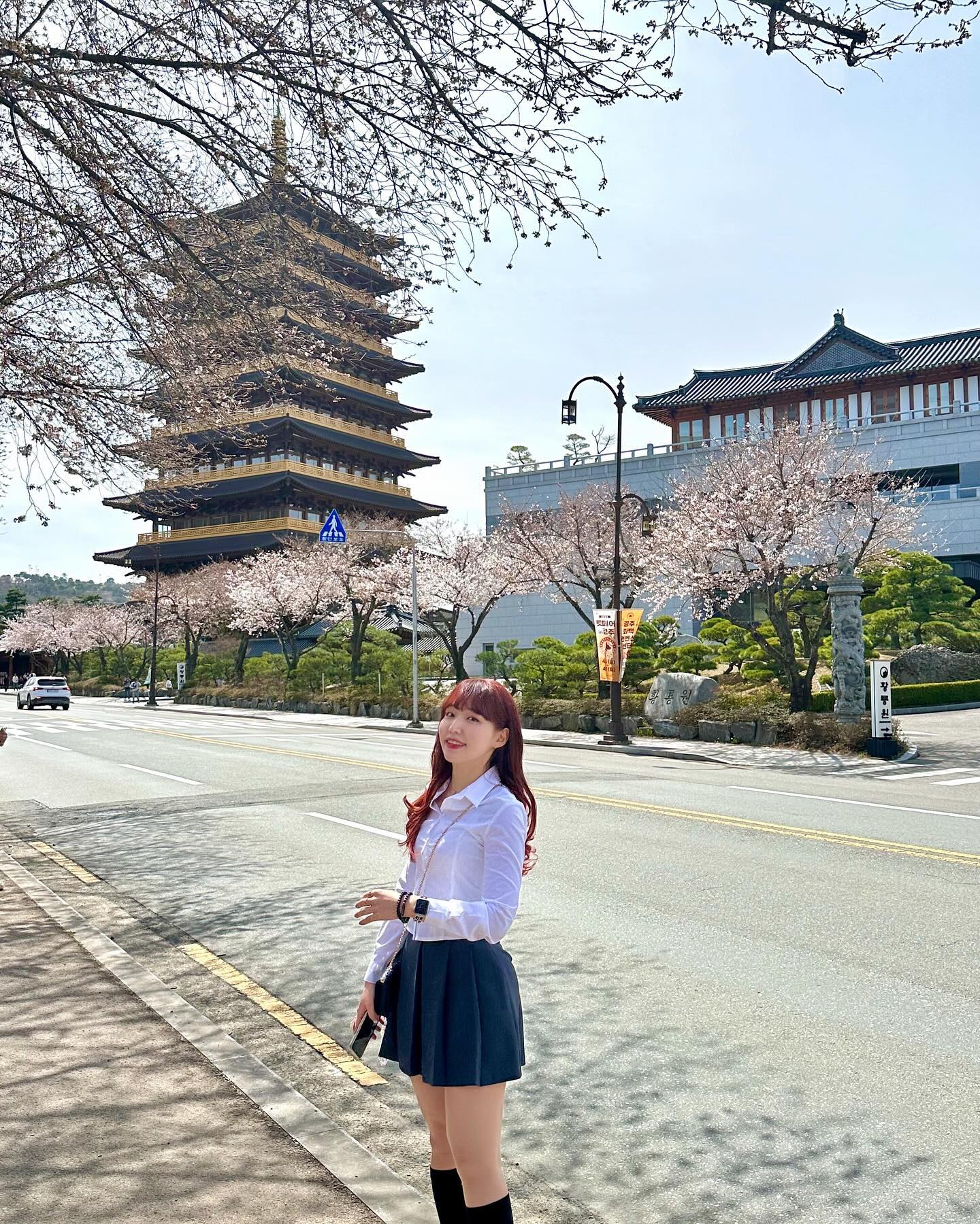 24.03.31 황룡원🌸