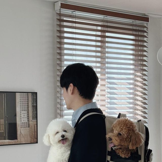  노뜨 I 집꾸미기•리빙•홈스타일링 on Instagram: "#광고
와 그동안 율무랑 숑숑이 들고 짐까지 드느라 너무 힘들었는데
인더코코 강아지 이동가방은 백팩으로 나와서 정말 편해요!

2.5kg 숑숑이, 5.5kg 율무가 여유 있게 사용할 수 있고,
쳐짐 없이 탄탄하게 받쳐줘서 안정감 있어요🐶🤎

앞/옆으로 반투명 매쉬창이 있고, 매쉬창을 오픈할 수도 있어
율무랑 숑숑이도 불안해하지 않고, 잘 있더라구요!
이탈사고방지를 위한 하네스고리가 부착되어 있어
빼꼼창 오픈하고 이동해도 안심이에요:)

가방이랑 세트로 나온 풉백도 너무 귀엽고
가방에도 수납할 수 있는 공간이 많아서
양손이 자유로운 강아지 고양이 가방 
찾으시는 분들에게 추천드려요!

🏷 @inthe_coco_official

#인더코코#강아지백팩#강아지가방
#강아지이동가방#고양이이동가방
#고양이백팩#고양이가방"