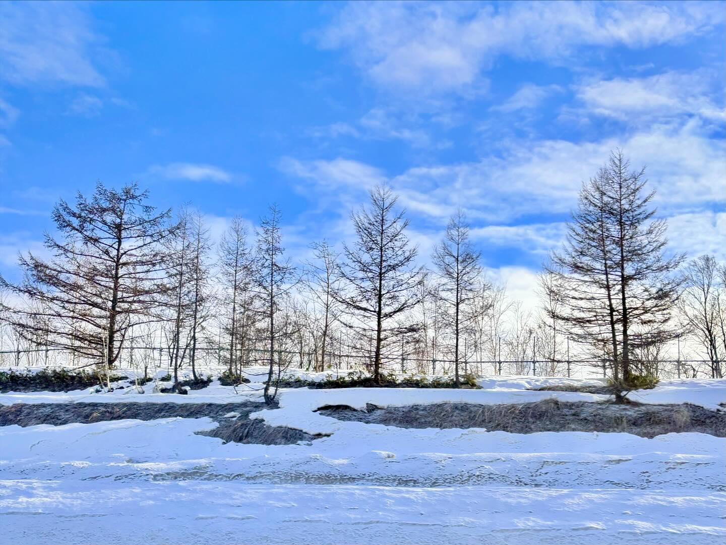230224 삿포로 여행 2일차

삿포로는 눈 보러 간거니까 제대로 보기 위해 비에이 투어❄️
흰수염폭포에서 여우 2마리 보면 운 좋은 일 생긴다는데
우리는 3마리나 봐버렸다🦊

#삿포로 #삿포로여행 #삿포로겨울여행 #비에이