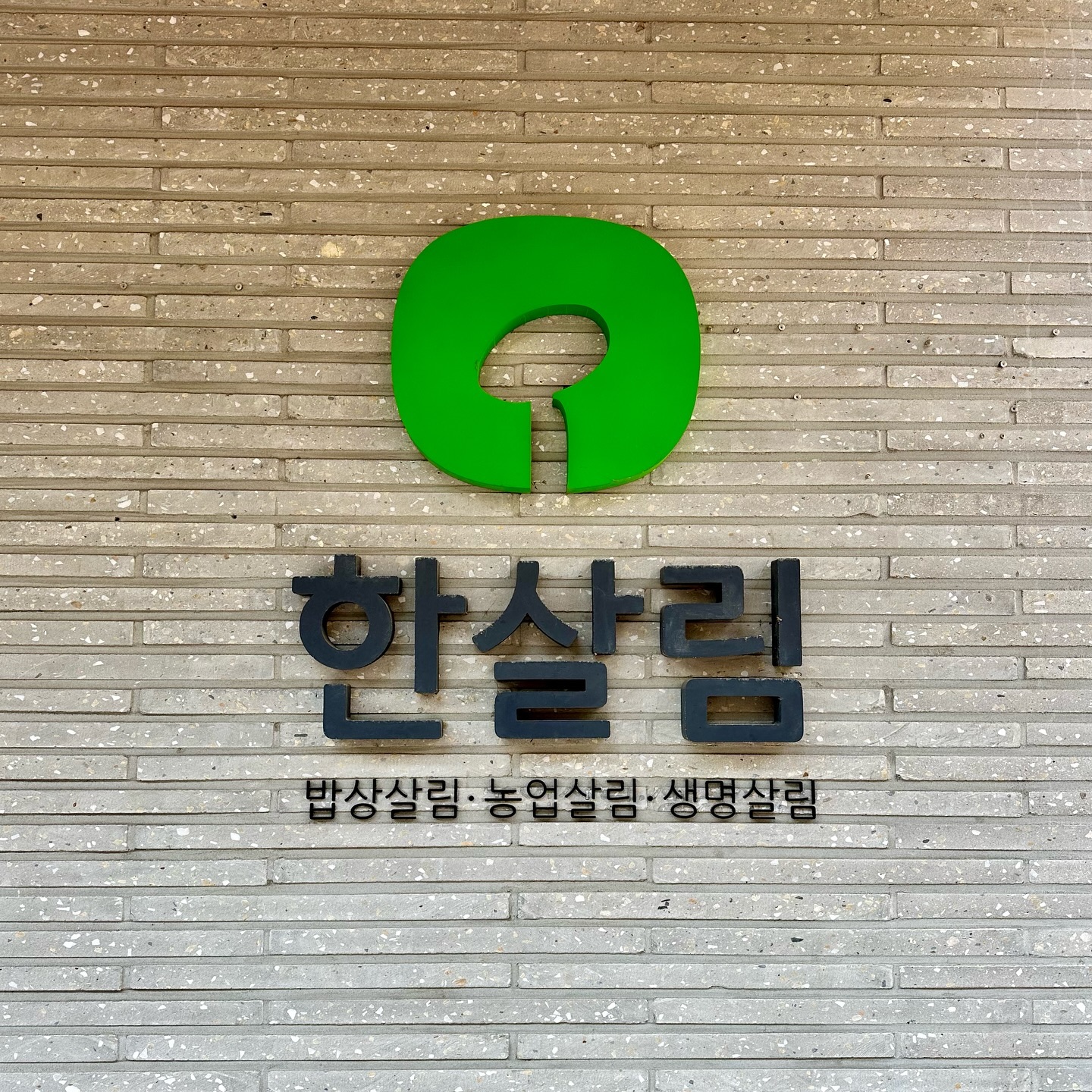 6년 5개월을 다닌 직장을 퇴사한다. 충분히 배웠고, 경험했다. 이제 방향을 틀어 다른 삶을 살아보려 한다. 인생 시즌3 느낌이랄까. 앞날은 캄캄하고 뭐 하나 아무것도 결정된 건 없지만 일단 떠난다. 내게 남는 건 그간 러닝과 등산으로 획득한 체력과 20살 때나 지금이나 변하지 않는 무언가 잔뜩 하고 싶고 배우고 싶은 그 마음뿐이니. 
여기에서 좋은 사람들을 만났다. 두고두고 만나고 싶은 사람들을. 몇 안 되지만 몇 안 되는 인연으로도 충분하다. 돌이켜보니 인복이 많다. 항상 적당한 때에 만나야 할 사람들을 만났다. 애정 어린 응원과 격려, 위로, 용기를 얻었다.
물론 언제나 좋진 않았다. 모든 직장이 그러하듯 숨막히도록 질려버린 적도 있고, 아무것도 하고 싶지 않은 마음으로 숨어 지냈던 때도 있다. 이해되지 않는 사람도 있었고, 안쓰러운 사람도 있었다. 부족한 내 모습에 화가 난 적도 있었고, 나만큼 왜 못하냐며 버럭하기도 했다. 모든 순간이 배움이고 의미가 있다며 주문처럼 외우기도 했고, 1분 1초가 싫어서 도망치고 싶기도 했다. 그 모든 게 이곳에서의 삶이었다.
새로운 삶을 앞두고, 두려움이 가득하지만 툴툴 턴다. 뭐 어때. 또 해보는 거지☺️