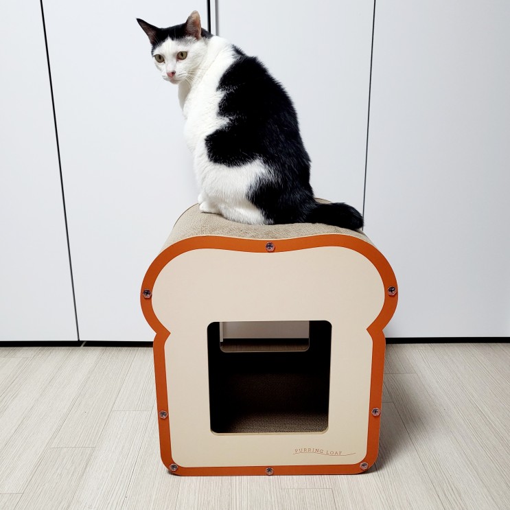 고양이 식빵 숨숨집, 퍼링로프 브레디 스크래쳐 하우스
