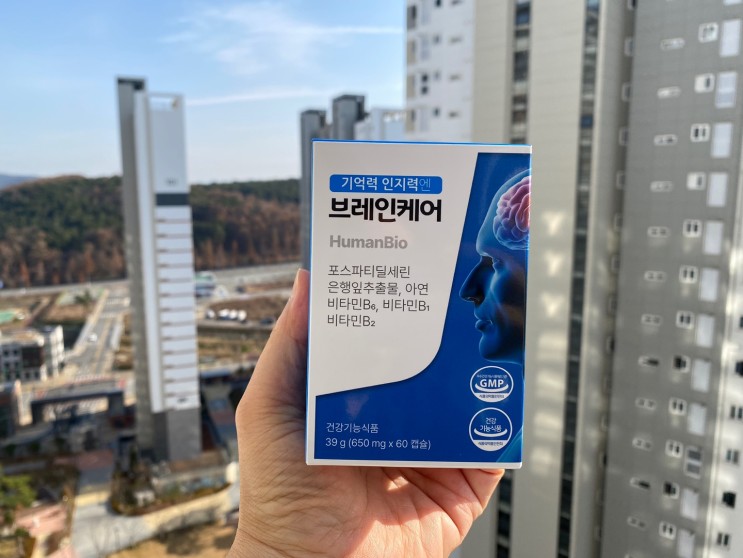 포스파티딜세린 분말 브레인케어 효율성 높이다.