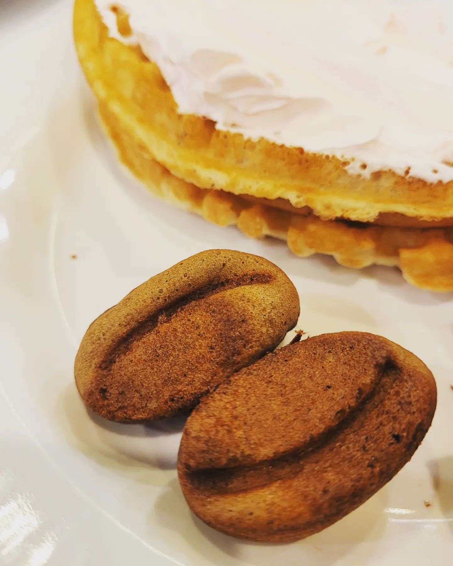 ㆍ
커피콩빵!
ㆍ
맛보다는 생기새가
늠~~귀여워요!!ㅎ
ㆍ
ㆍ
ㆍ
#커피콩빵