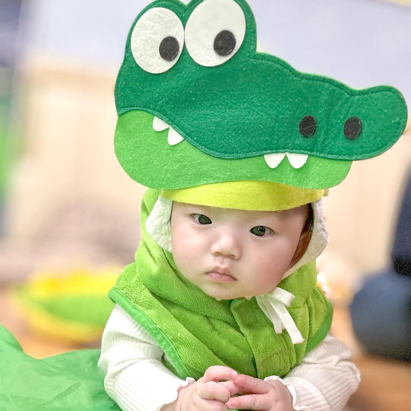 #첫문센 #성공적
.
순둥이아니랄까봐❤️
첫문센도 울지않구 할거 다하고
사진찍을거 다찍구
비닐과 종이로 촉감놀이도 하고
끝나고 밥까지 야무지게 먹은 두찌😍
고생했어ㅎㅎ 첫 문센 축하(?)해 ㅋㅋ
앞으로 많은 기회로 너에게 경험시켜줄게
사랑해 순둥이🥰
.
 #발레수업아님 #악어 #세젤귀 #세젤귀악어🐊