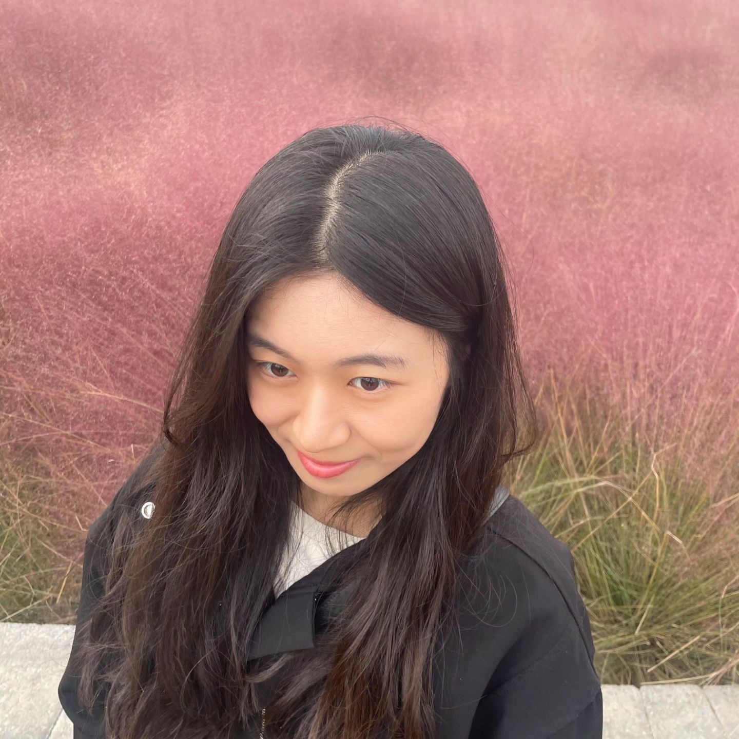 #핑크뮬리 #가을
핑크뮬리 처음봤어 💮🌸