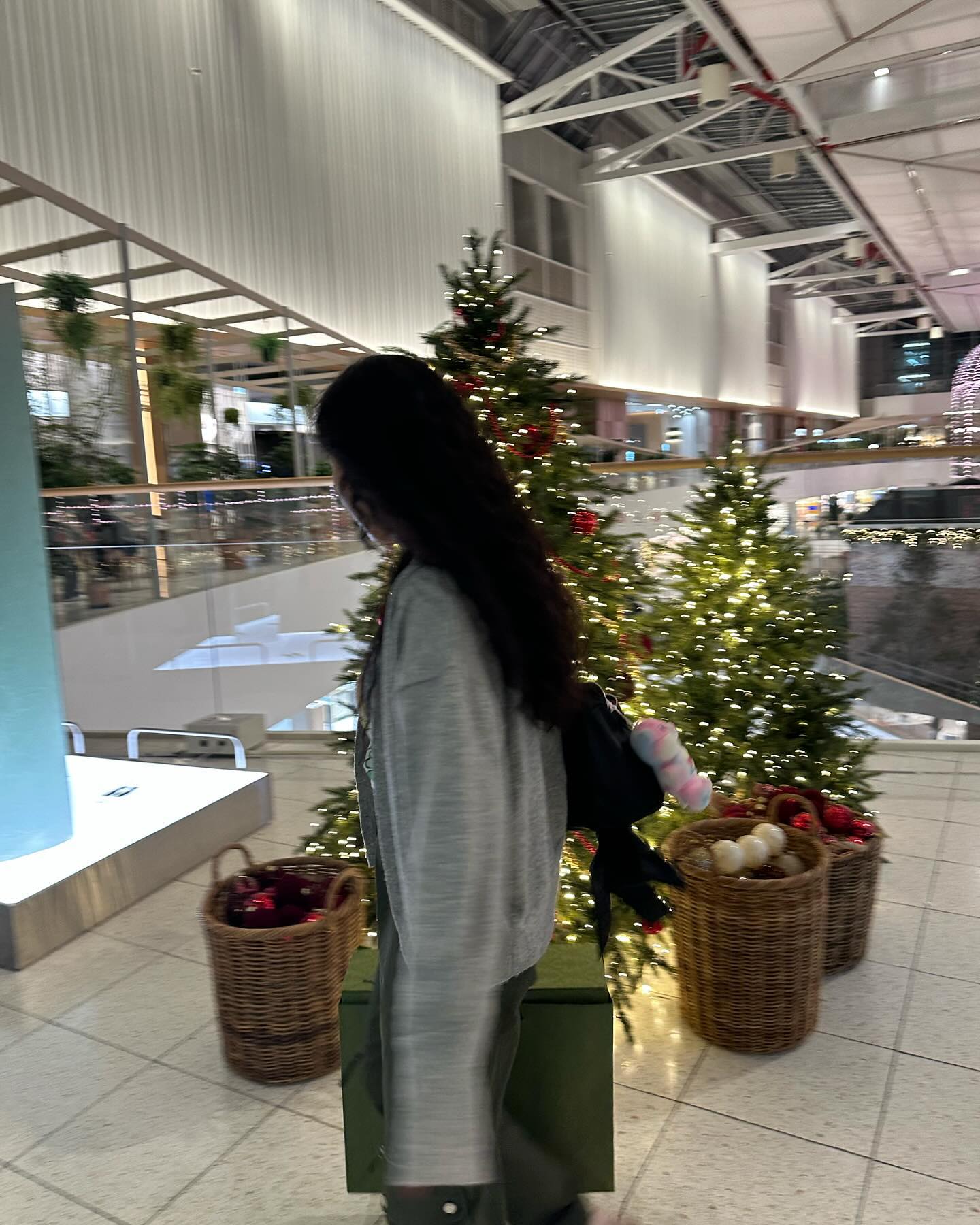 트리 사냥꾼🎄🎅🏾