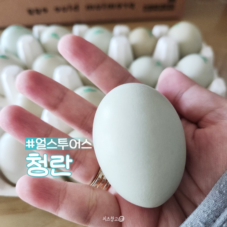 얼스투어스 청란 난각번호2번 신선한 유정란