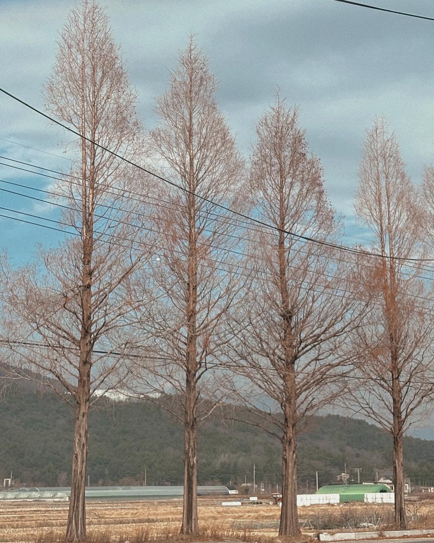 #오전11시 #오후5시