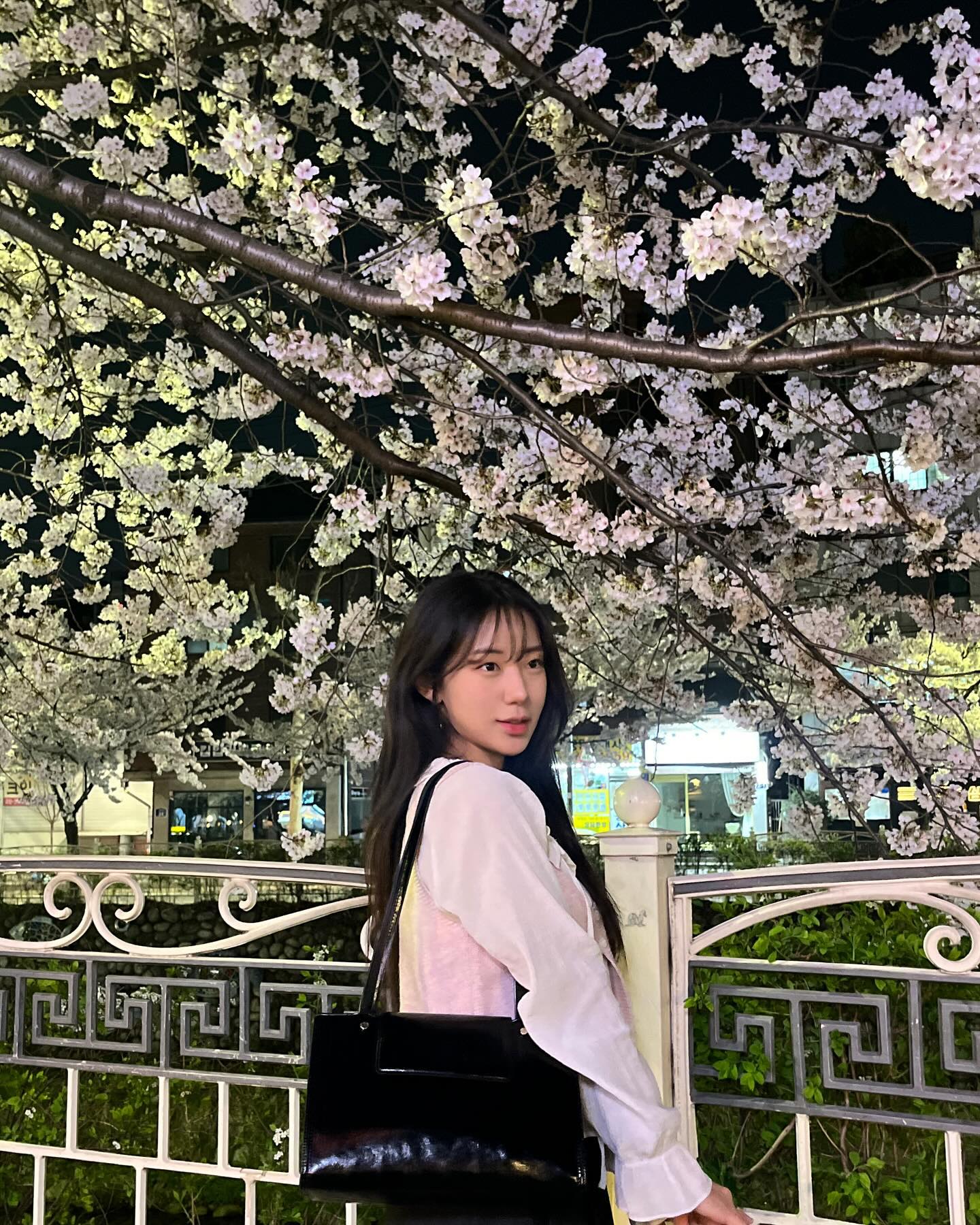벚꽃 구경 맘껏하고 실컷 행복해졌다...🌸💖