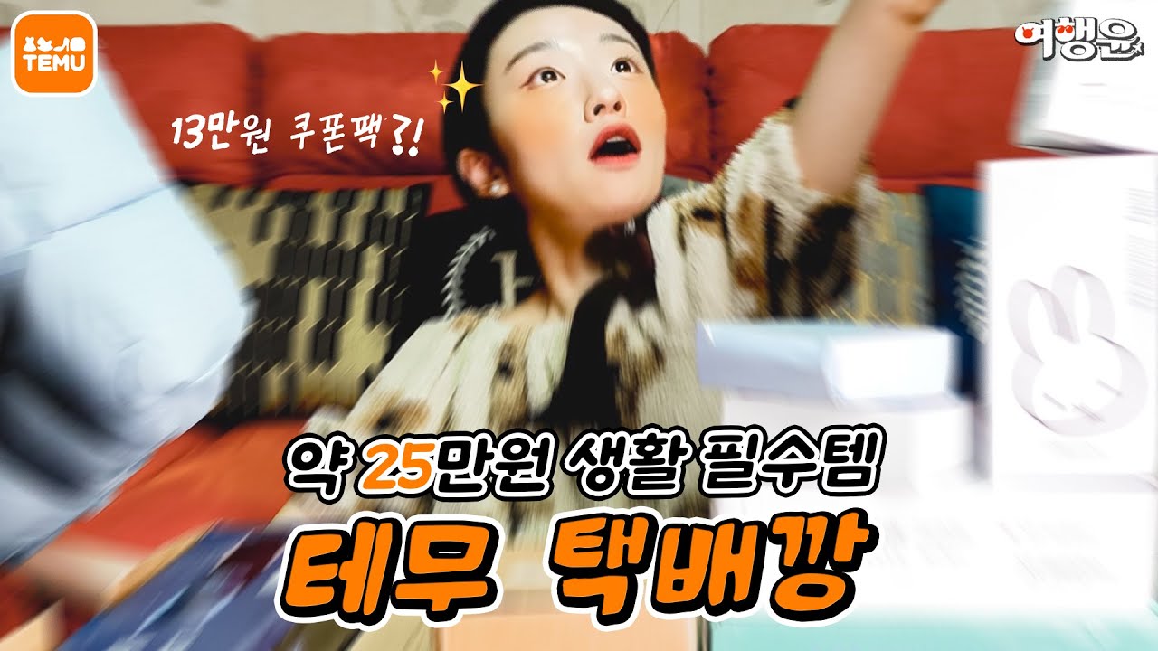 테무 택배깡 190$ 생활 필수템 및 한국 단독 인기템 언박싱 #테무깡 #temuhaul